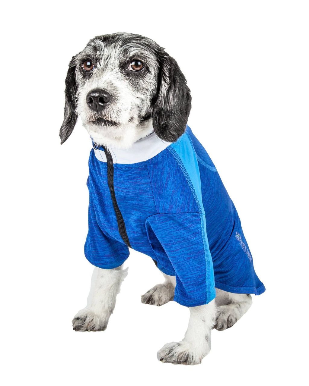Blue heather long-sleeve dog fitness T-shirt with full zipper, worn on a dog