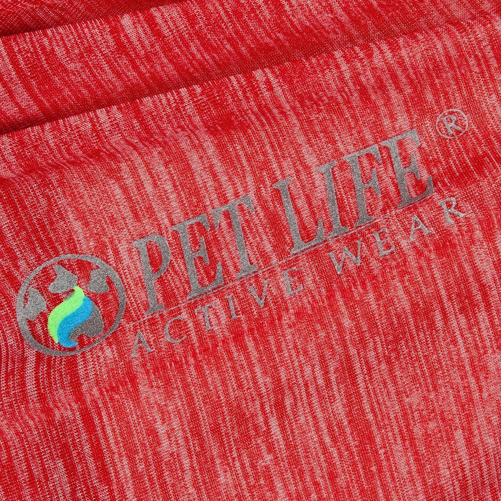 Red heather dog long-sleeve fitness T-shirt with “Chewitt Wagassy” logo graphic