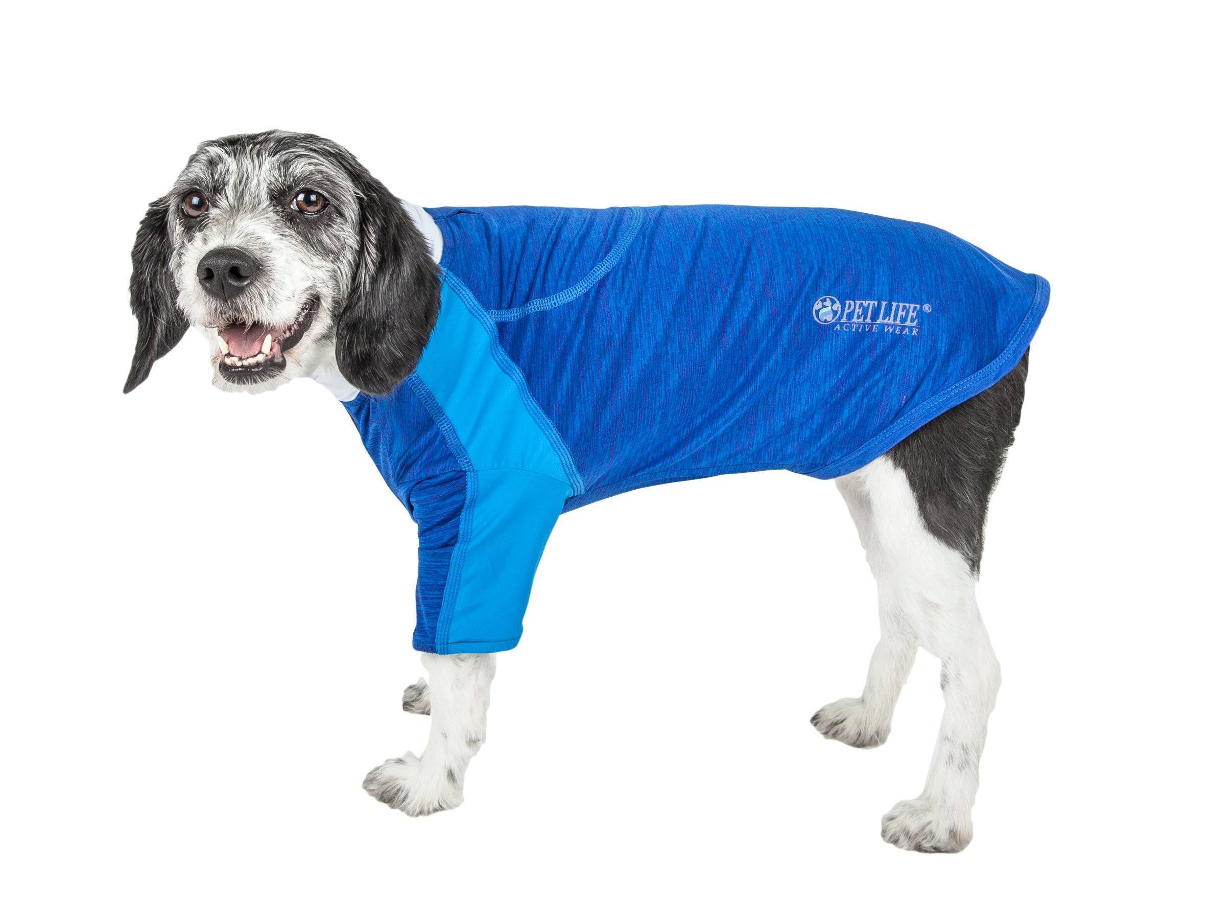 Blue long-sleeve 4-way stretch dog yoga T-shirt with athletic side panels