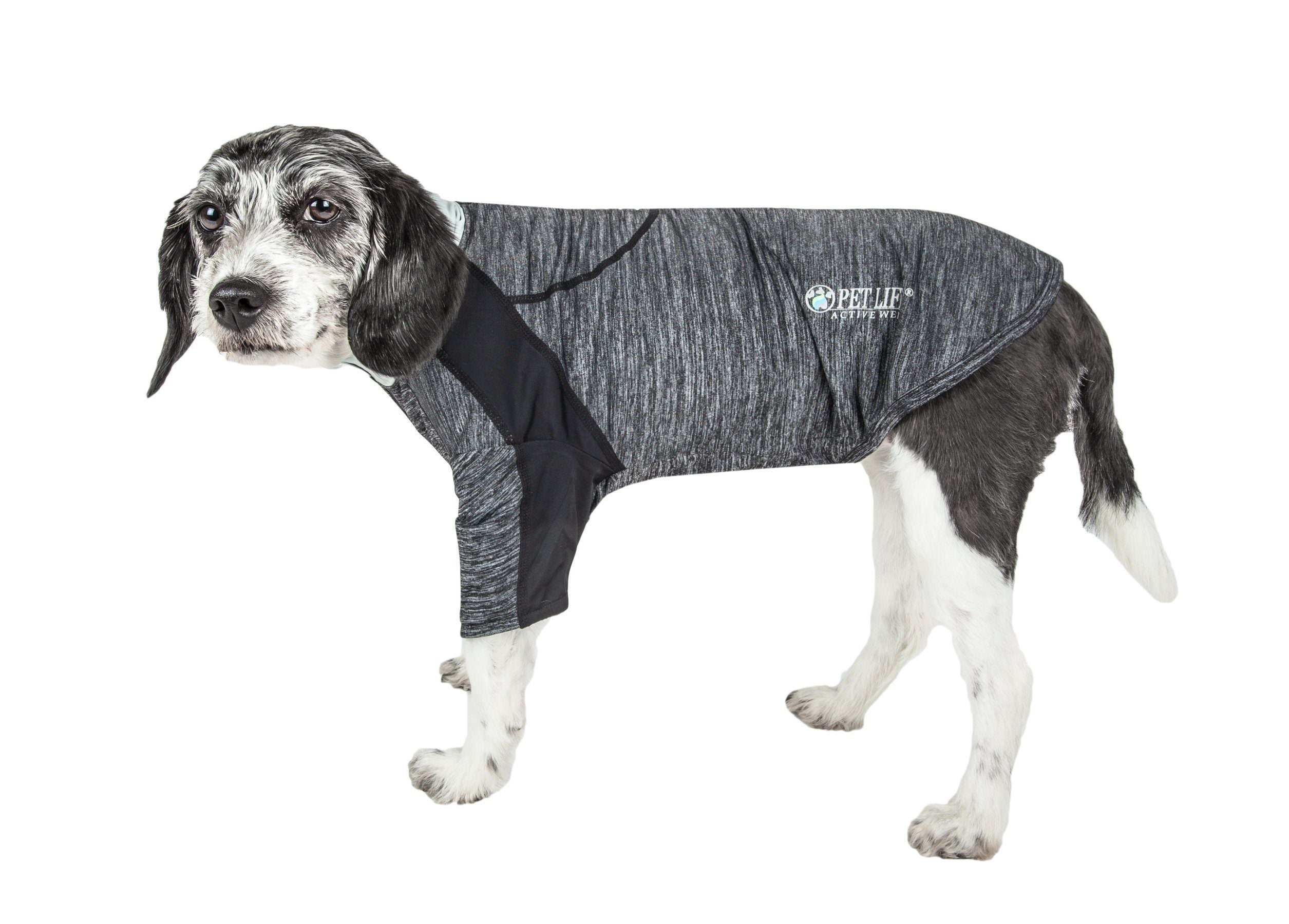 Dark gray/black long-sleeve 4-way stretch dog yoga T-shirt with athletic seams