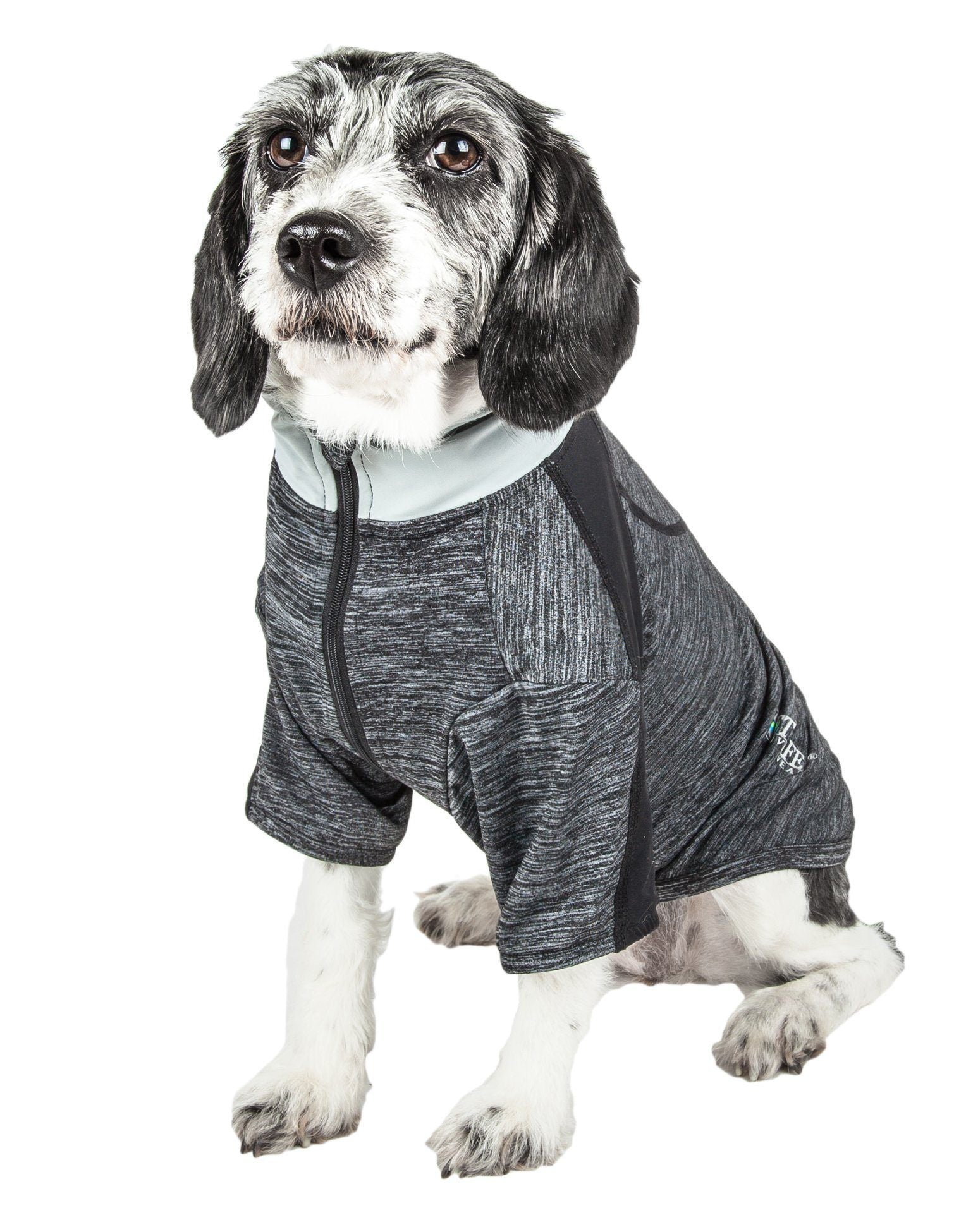 Heather gray long-sleeve zip-up dog shirt with black side accents and fitted torso