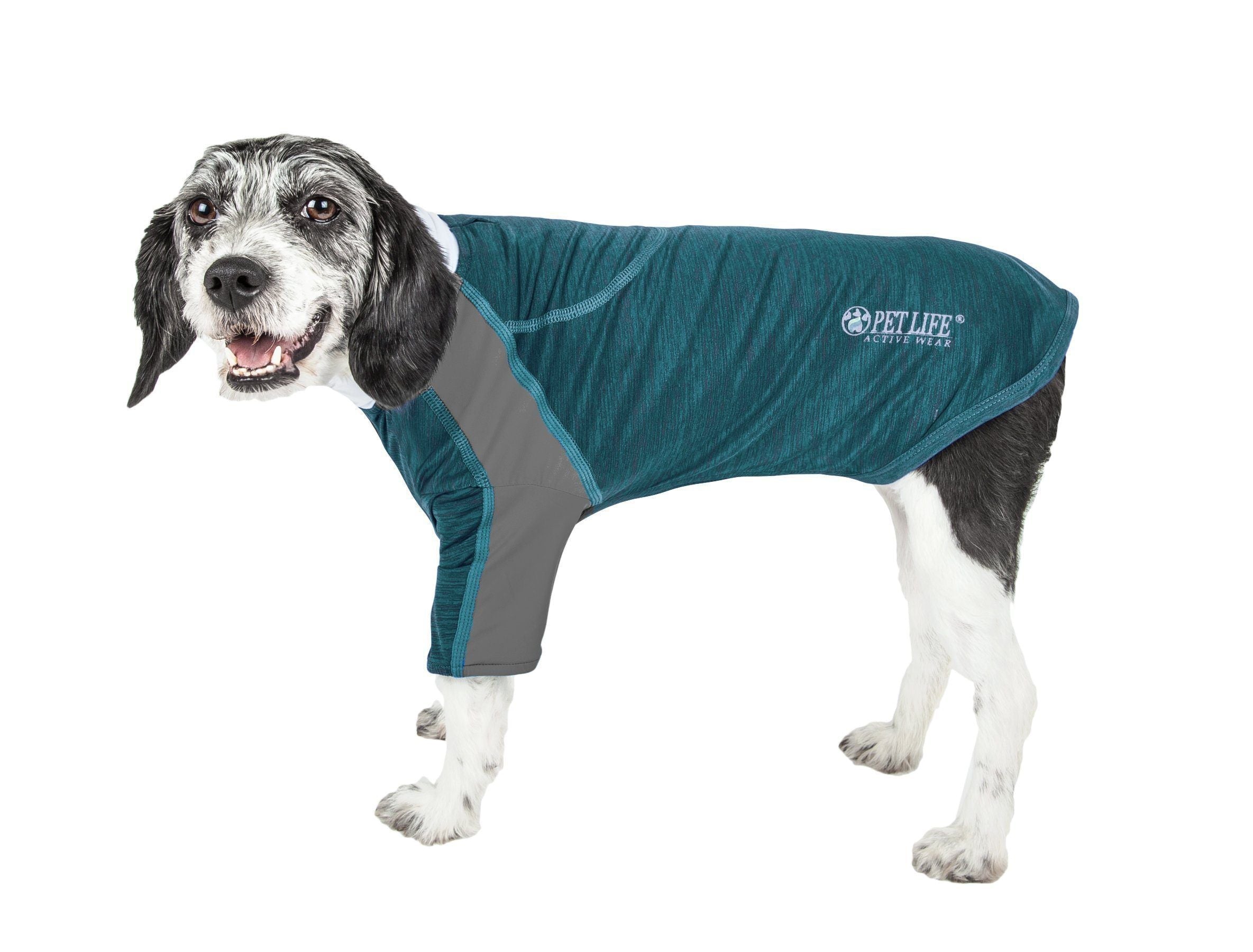 Teal long-sleeve 4-way stretch dog yoga T-shirt with athletic side panels