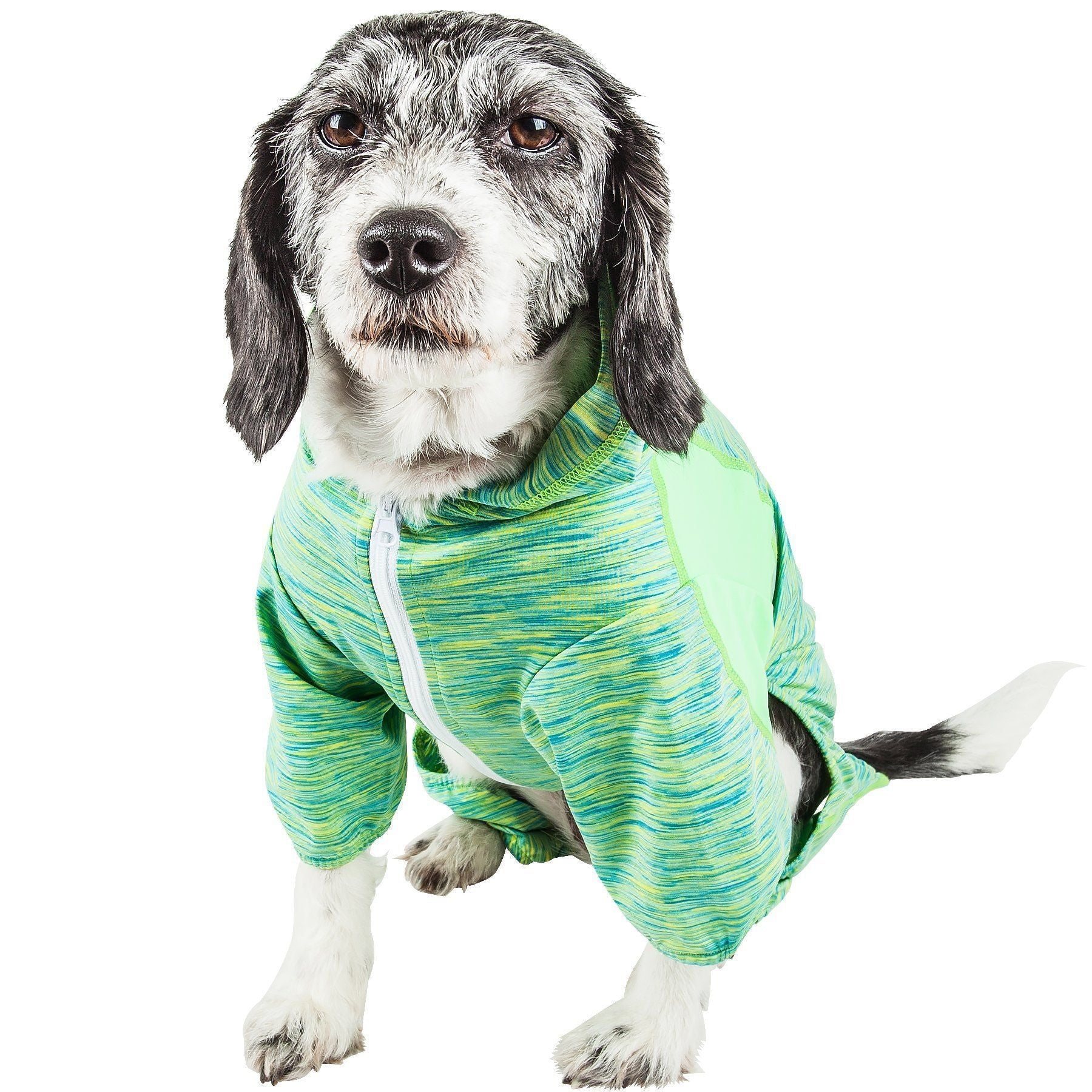 Green heather zip-front dog yoga hoodie tracksuit, long sleeves and tapered legs