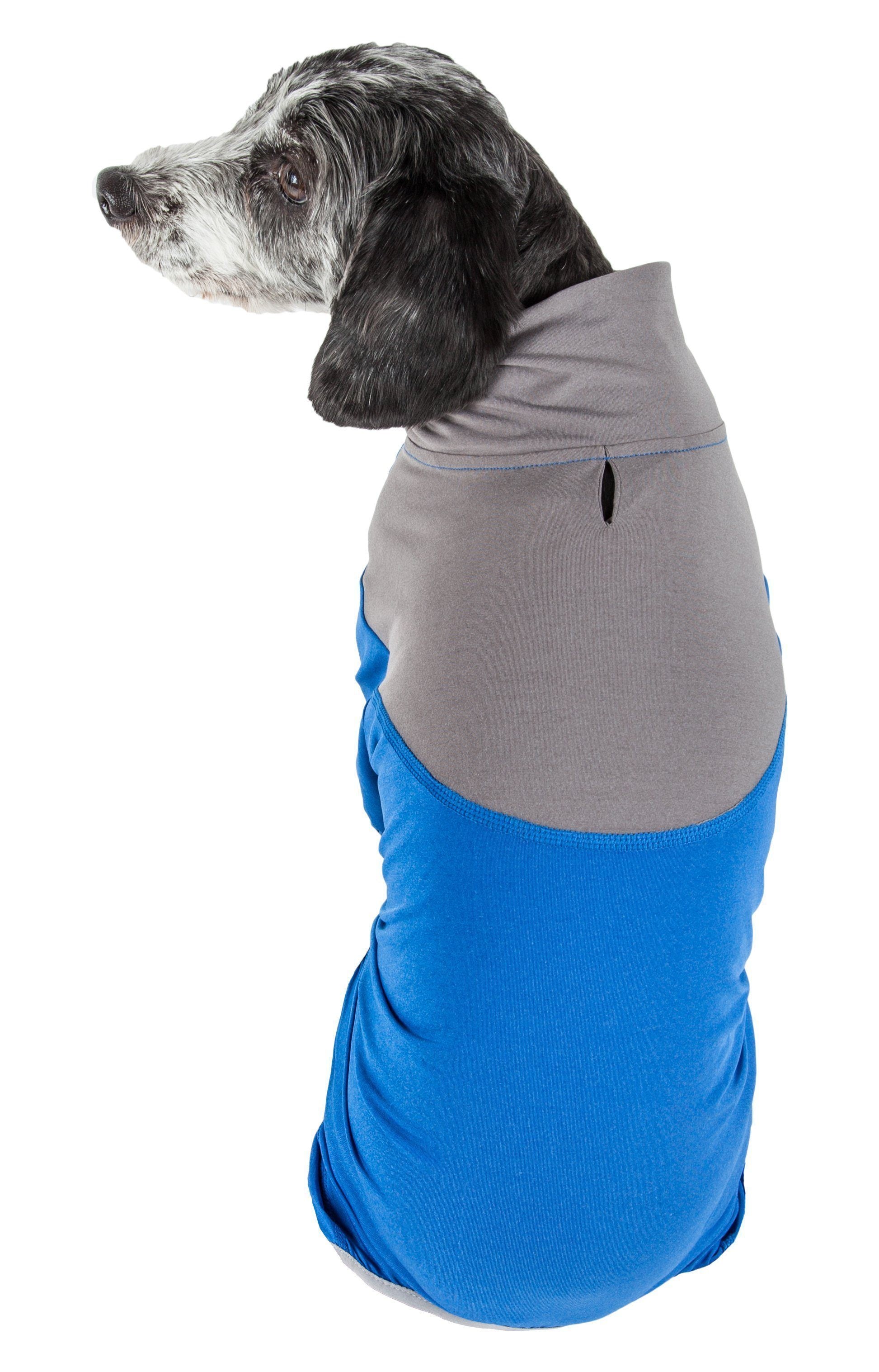 Gray and blue full-body dog tracksuit, 4-way stretch fitness outfit