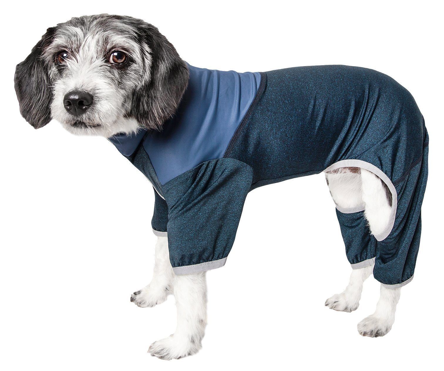 Teal and navy 4-way stretch dog tracksuit with paw-access leg openings