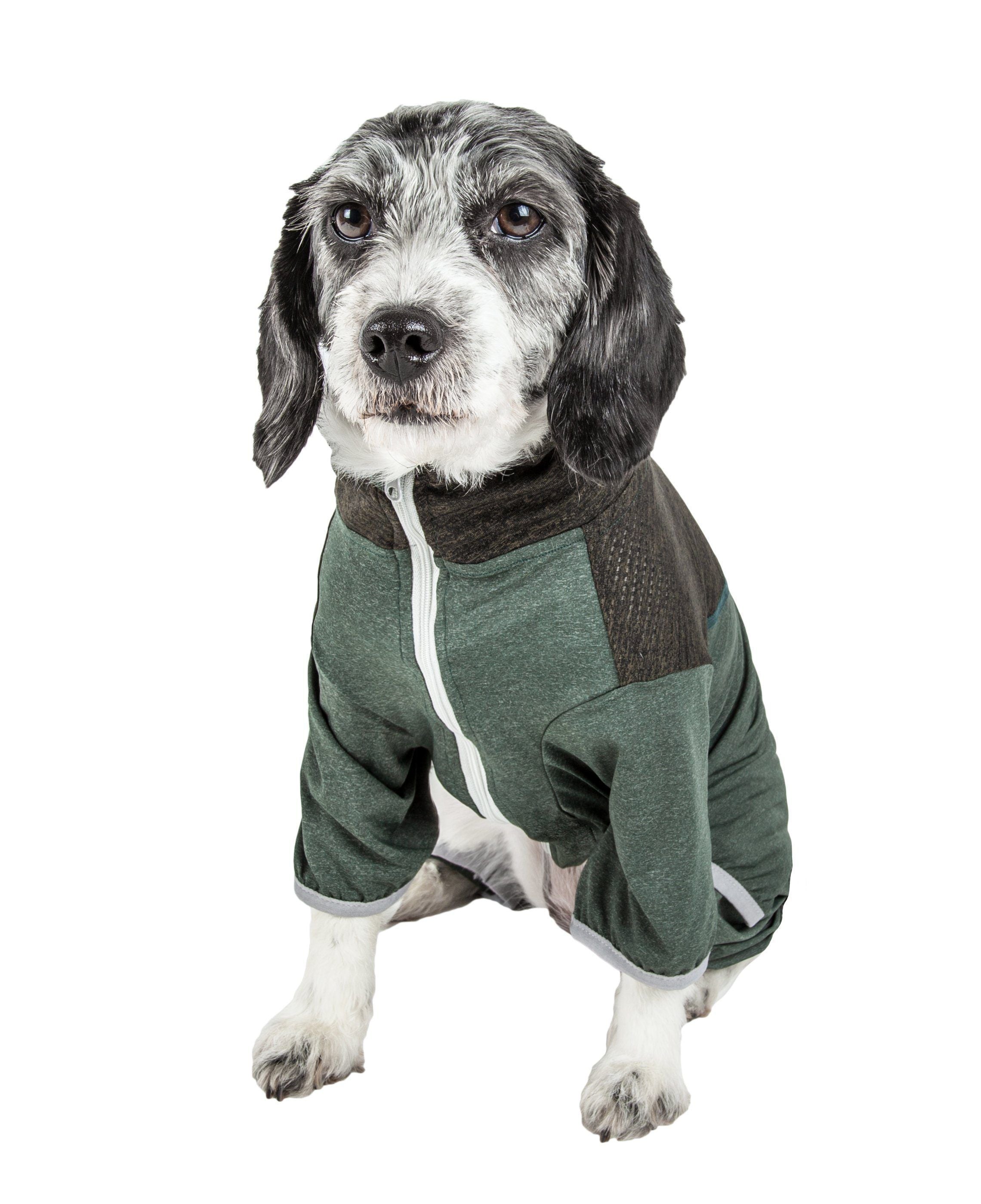 Dark green and gray full-body dog tracksuit with hood and white-trim zipper