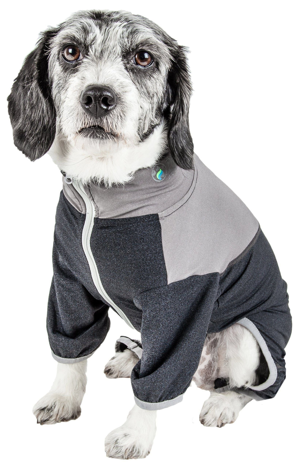 Gray and black full-body dog tracksuit with front zipper and hood
