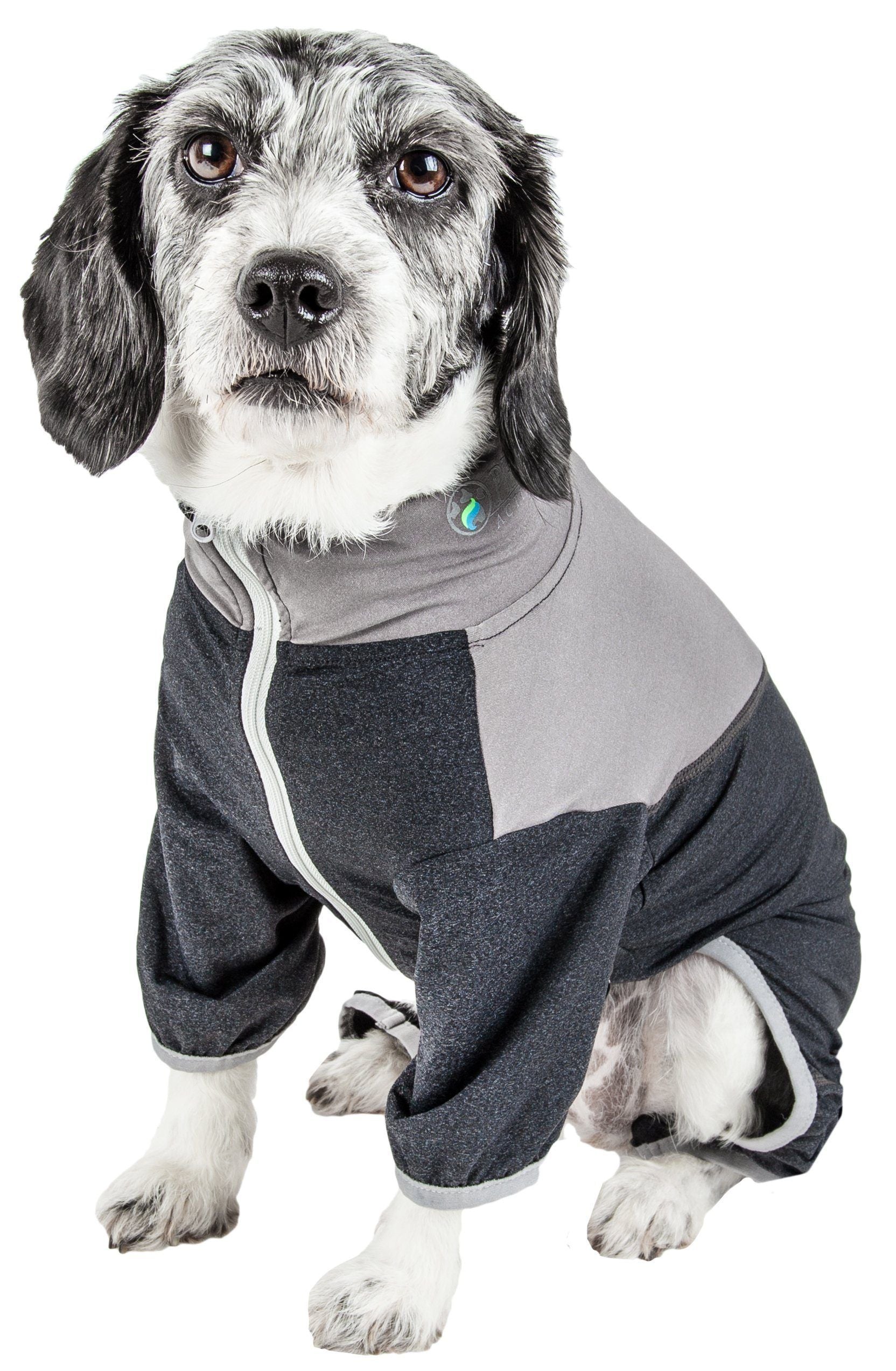 Gray and black full-body dog tracksuit with front zipper and hood