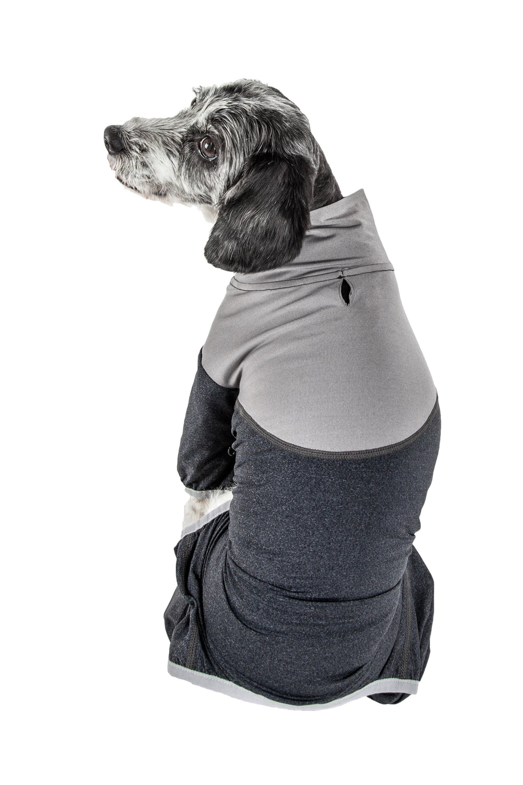 Charcoal and gray full-body dog tracksuit with hood, zipper front, and belly panel
