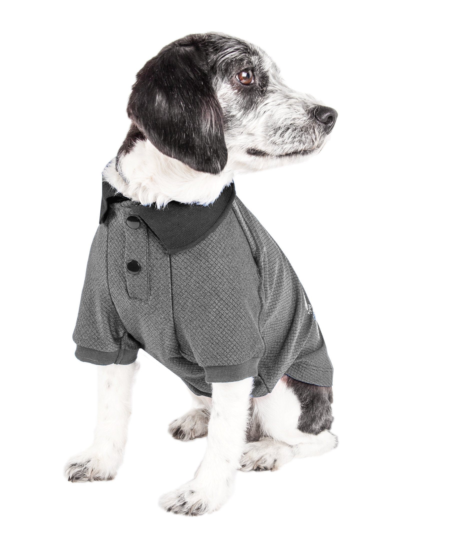Dark gray dog polo shirt with short sleeves, button placket, and textured knit.