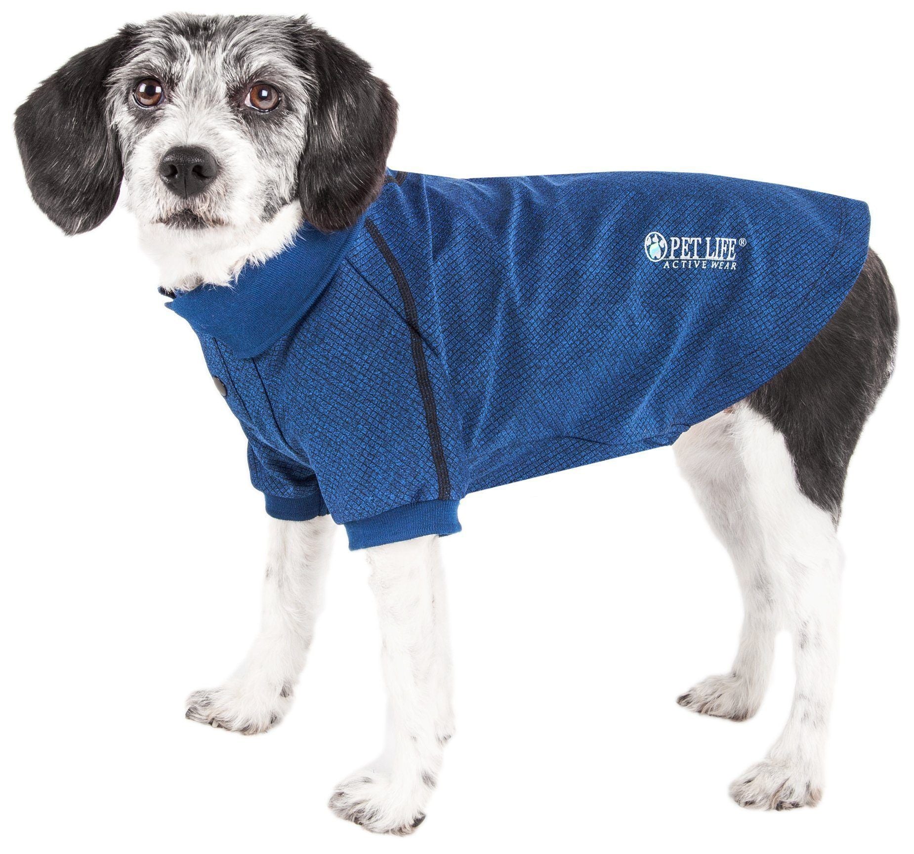 Navy blue dog polo T-shirt with mesh-like texture, black trim, and logo patch