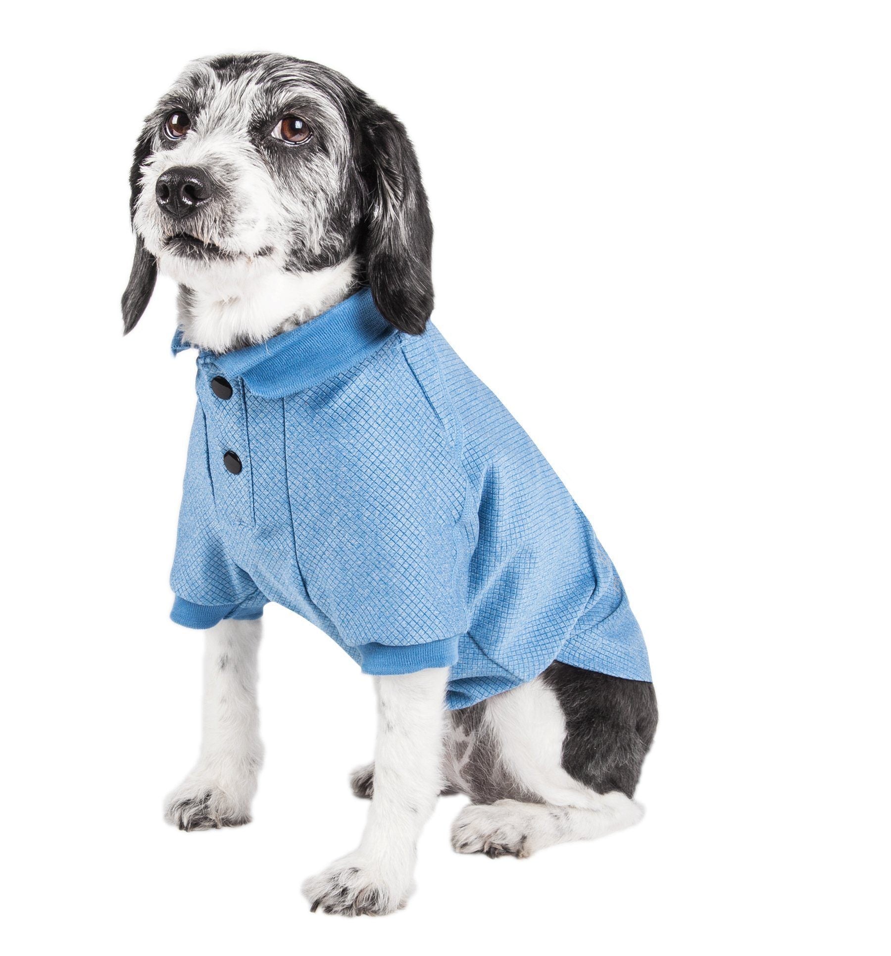 Blue anti-odor dog polo shirt, textured knit with button placket and stand collar.