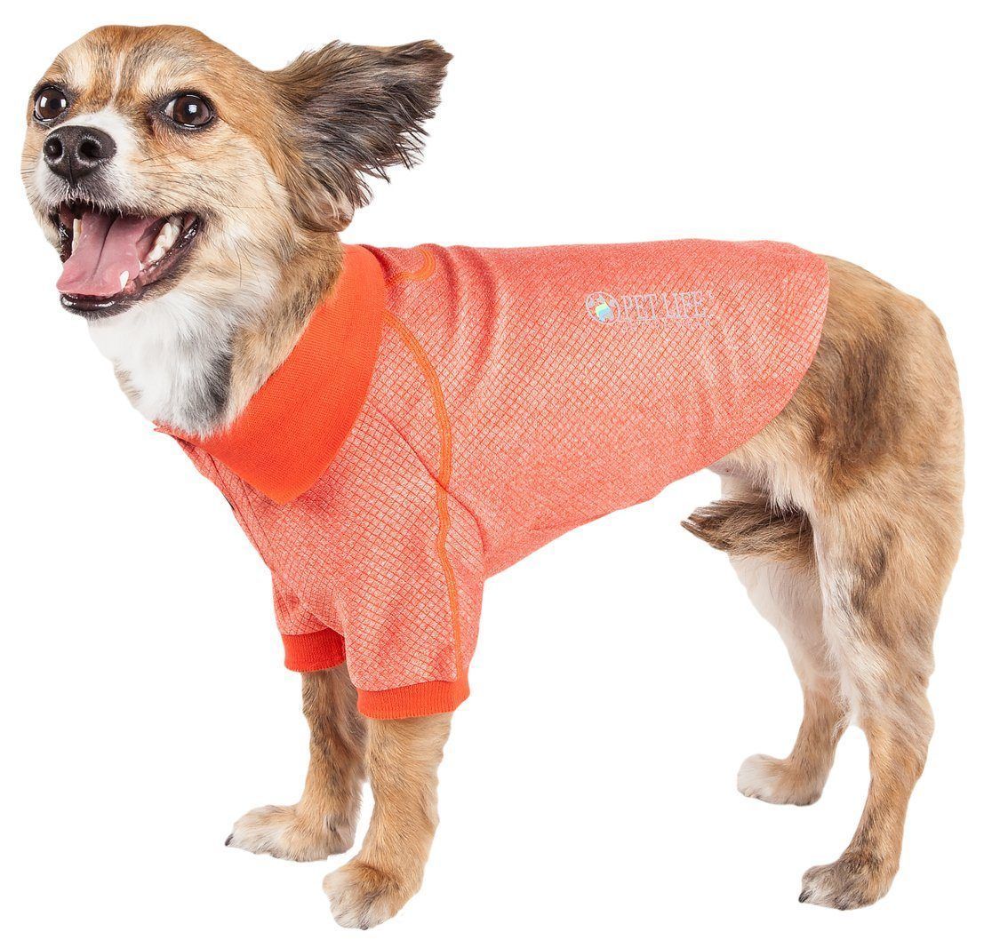 Orange dog polo T-shirt with stretch knit hood-style neckline and short sleeves