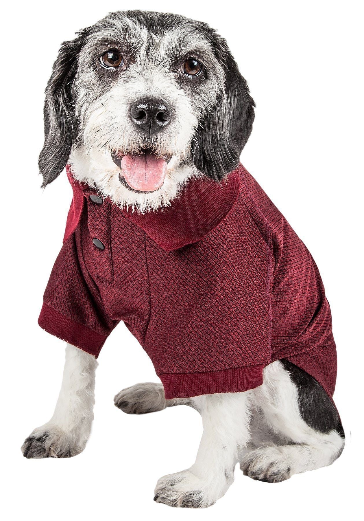 Burgundy anti-odor dog polo shirt, textured knit with button placket and stand collar.
