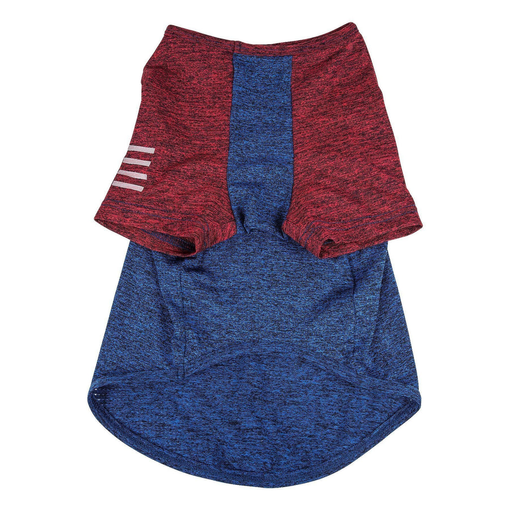 Dog fitness T-shirt, maroon heather sleeves with blue center and open-back cutout