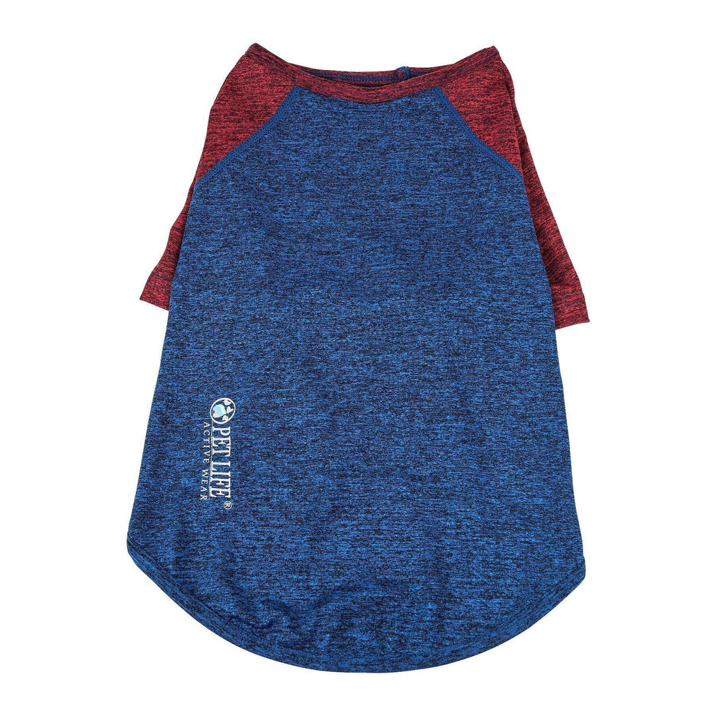 Dog performance T-shirt, blue body with maroon raglan sleeves and printed chest logo