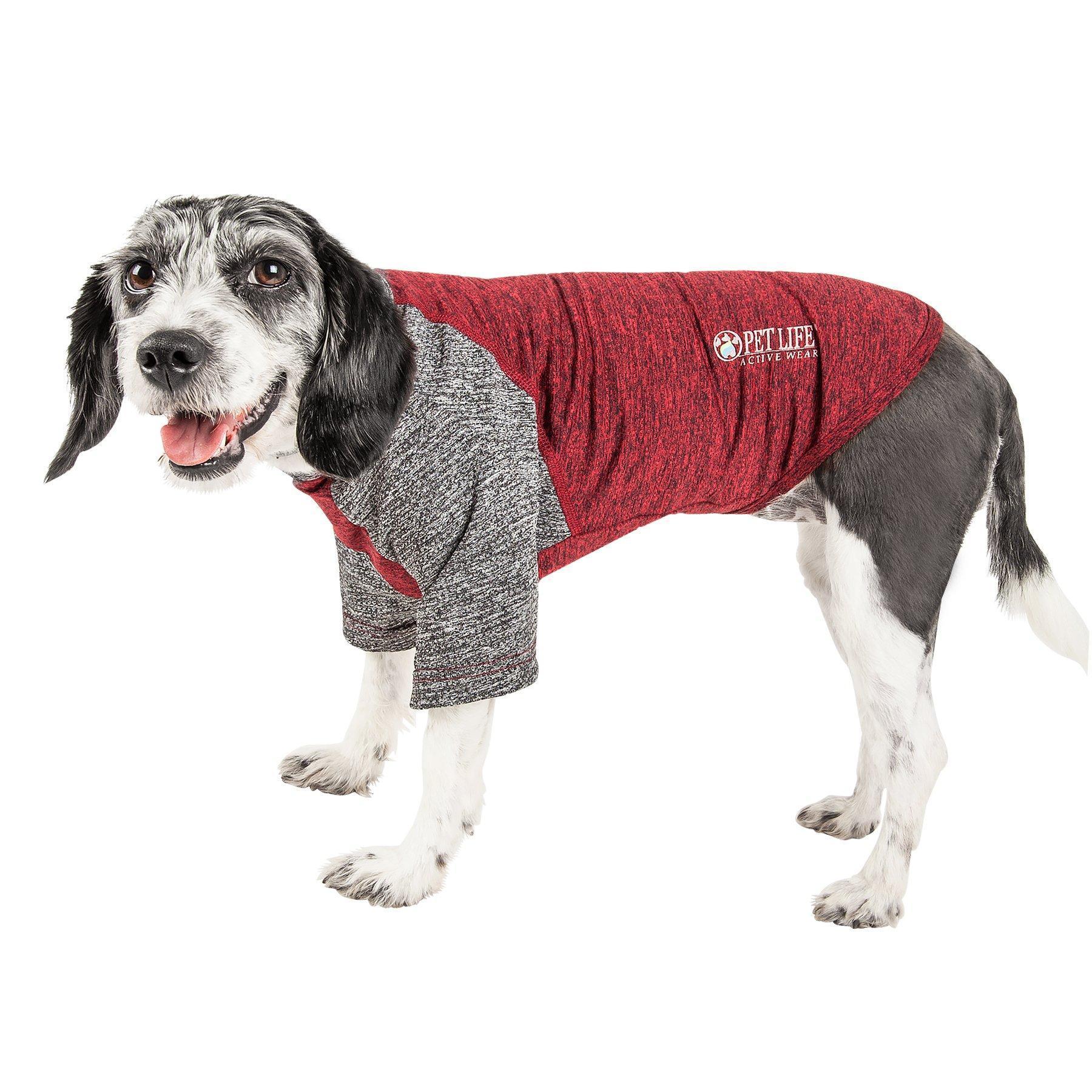 Maroon and gray dog fitness T-shirt, 4-way stretch, short sleeves, crew neck