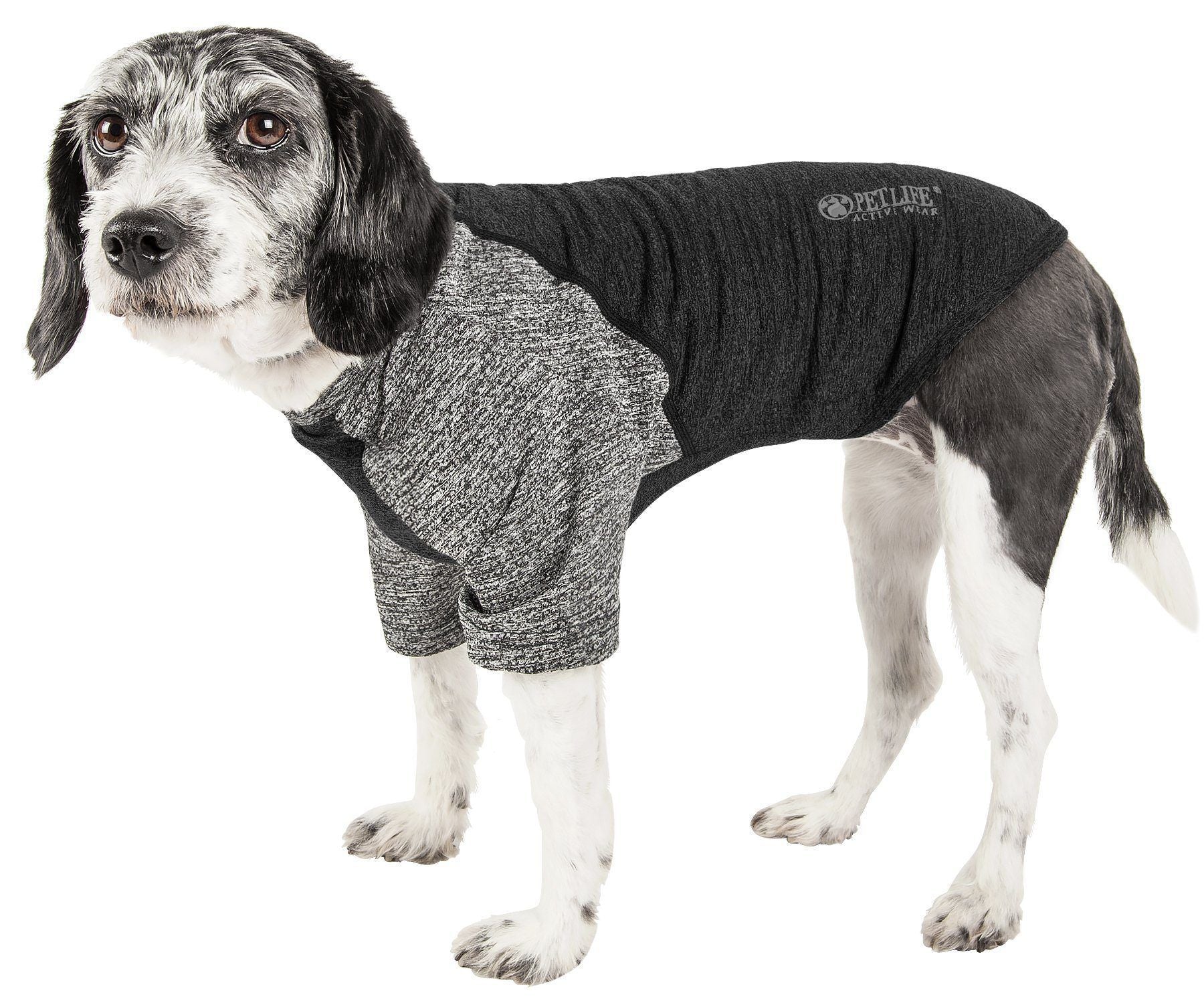 Black/gray dog fitness T-shirt, 4-way stretch, short sleeves, crew neck