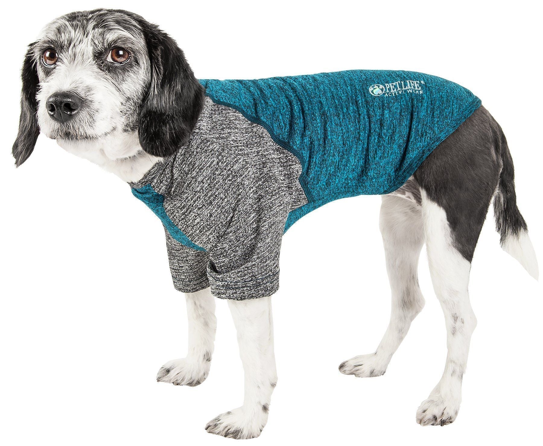 Teal/gray dog fitness T-shirt, 4-way stretch, short sleeves, crew neck