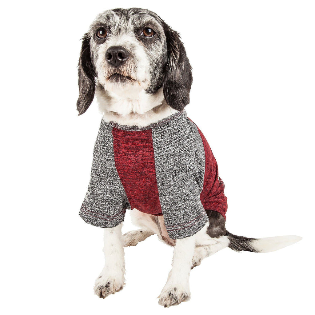 Dog wearing heather gray dog t-shirt with maroon red sleeves and center panel