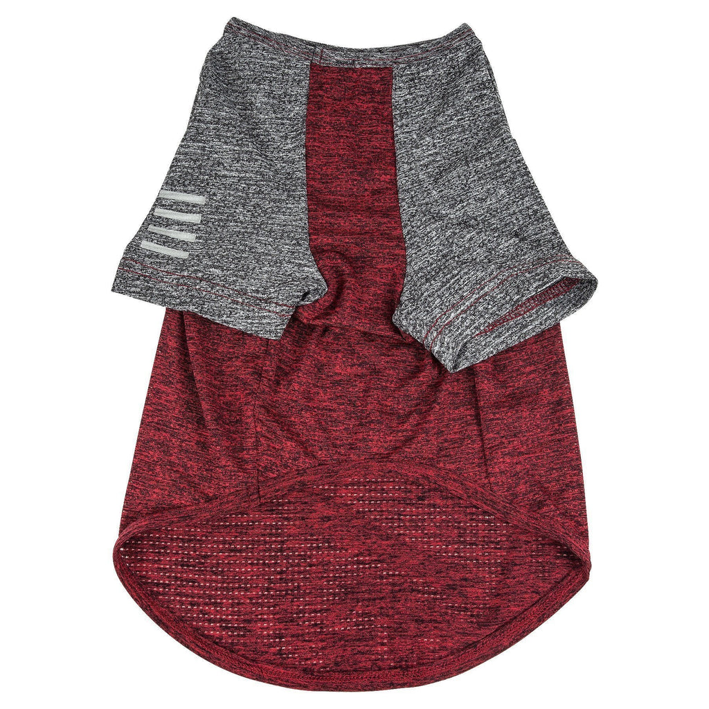 Dog fitness T-shirt, gray sleeves with maroon center stripe and open-back panel