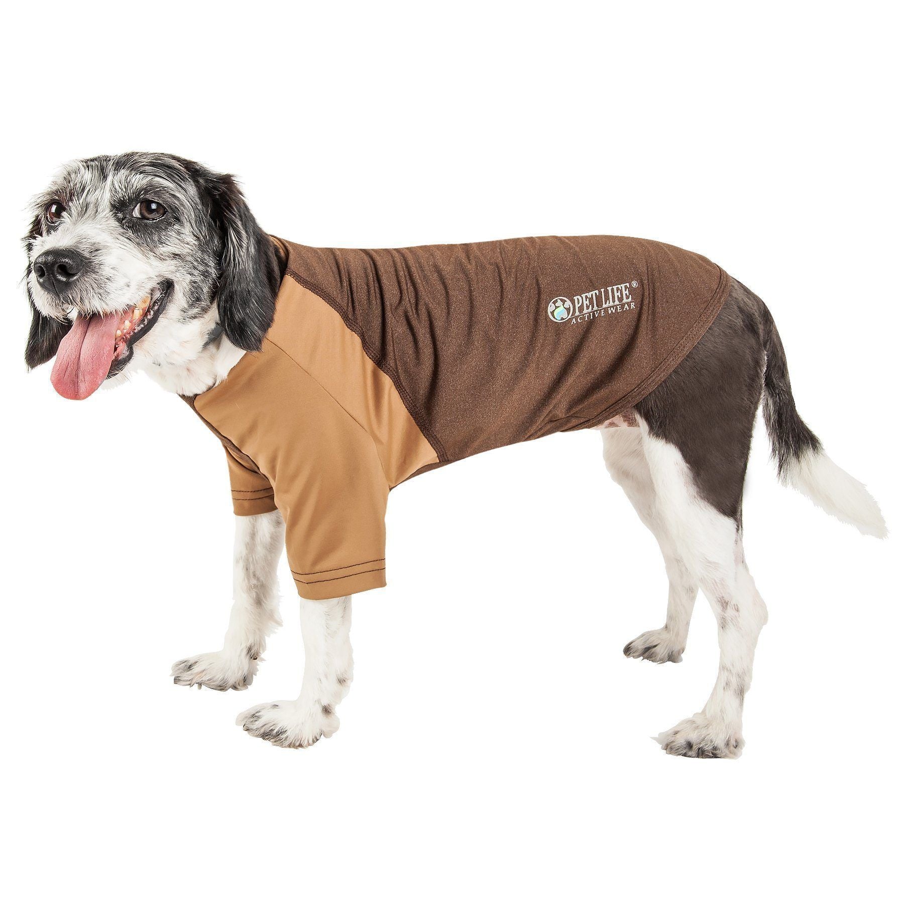 Brown dog fitness T-shirt, 4-way stretch, short sleeves, crew neck