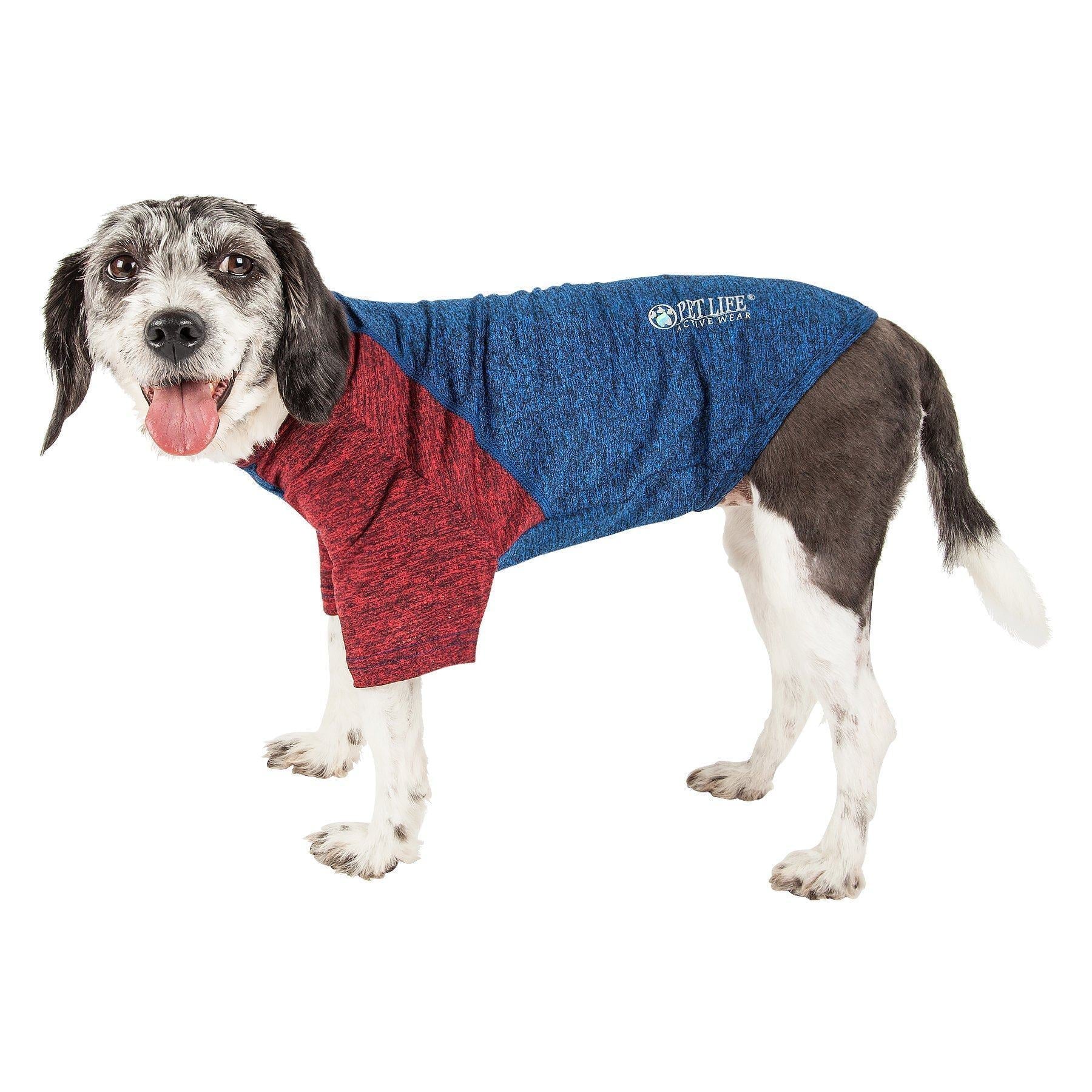 Blue dog fitness T-shirt with maroon sleeves, 4-way stretch, crew neck