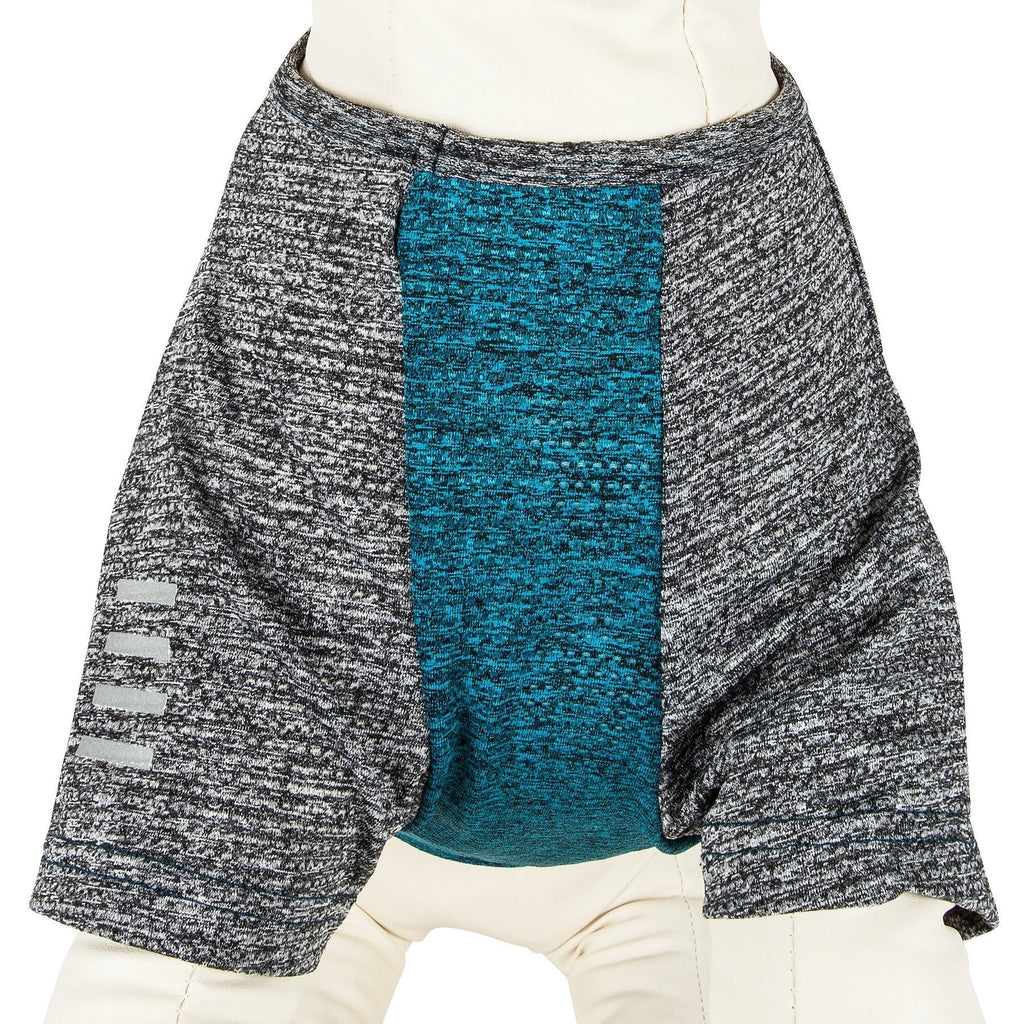 Dog fitness T-shirt, teal heather center with heather gray sleeves and striped graphic