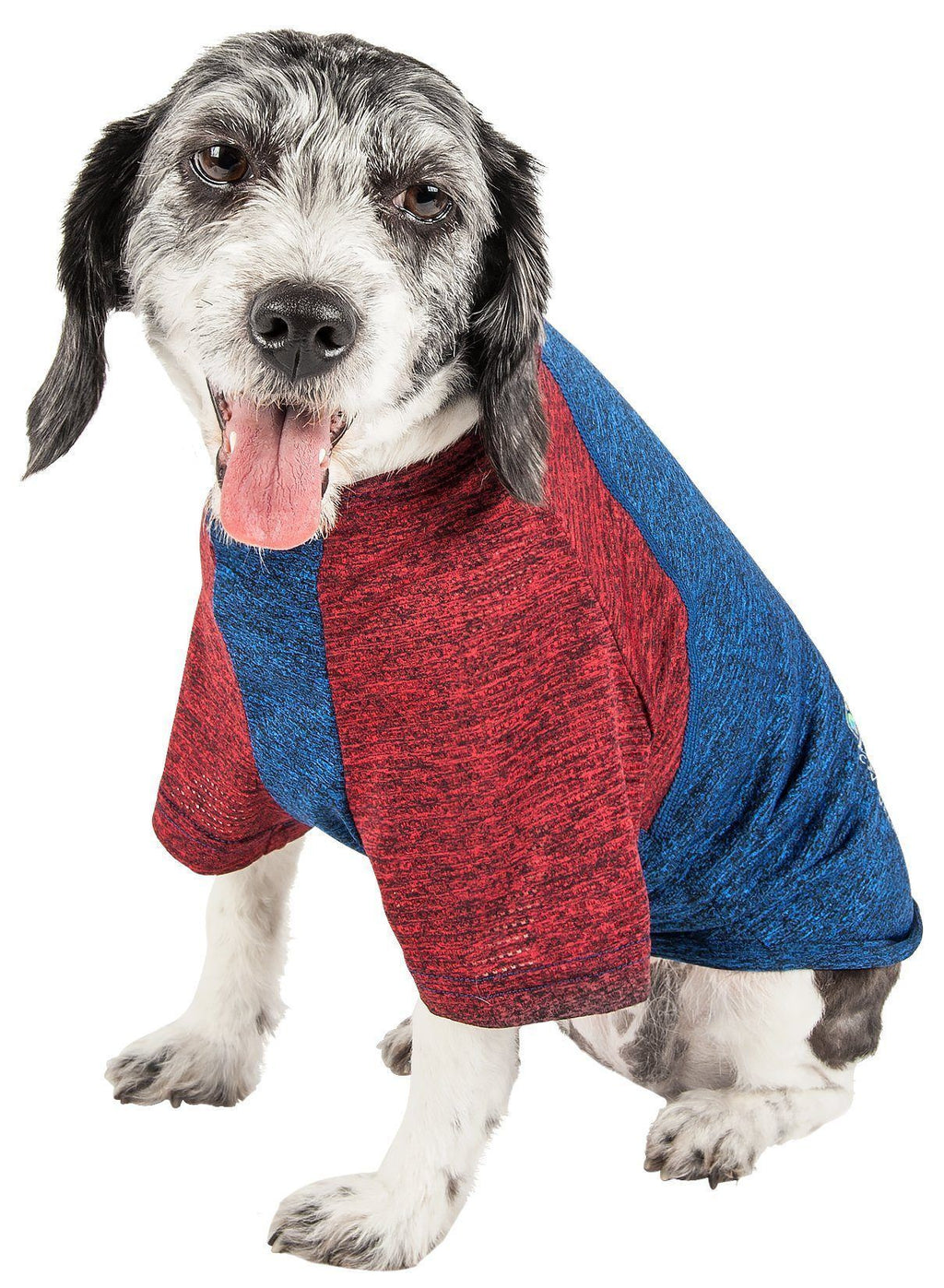 Dog wearing red heather dog t-shirt with blue side panels and sleeves