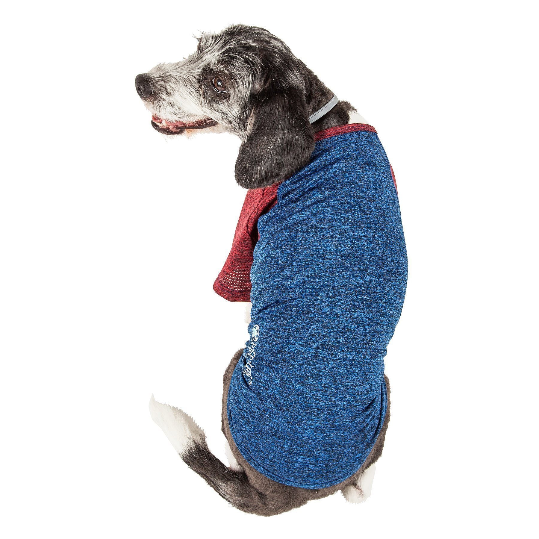 Blue heather dog fitness T-shirt with maroon sleeves and striped sleeve logo accents