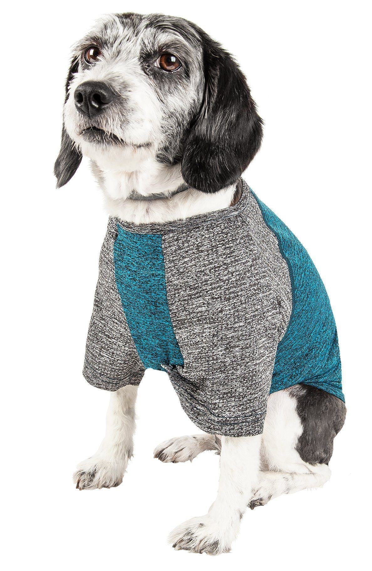 Dog wearing heather gray dog t-shirt with teal sleeves and side panels