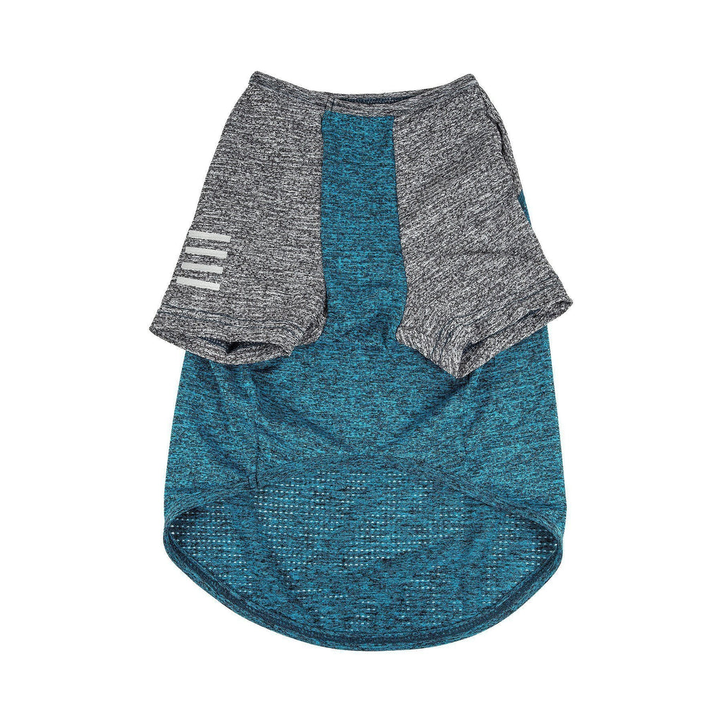 Teal center panel dog t-shirt with heather gray raglan sleeves