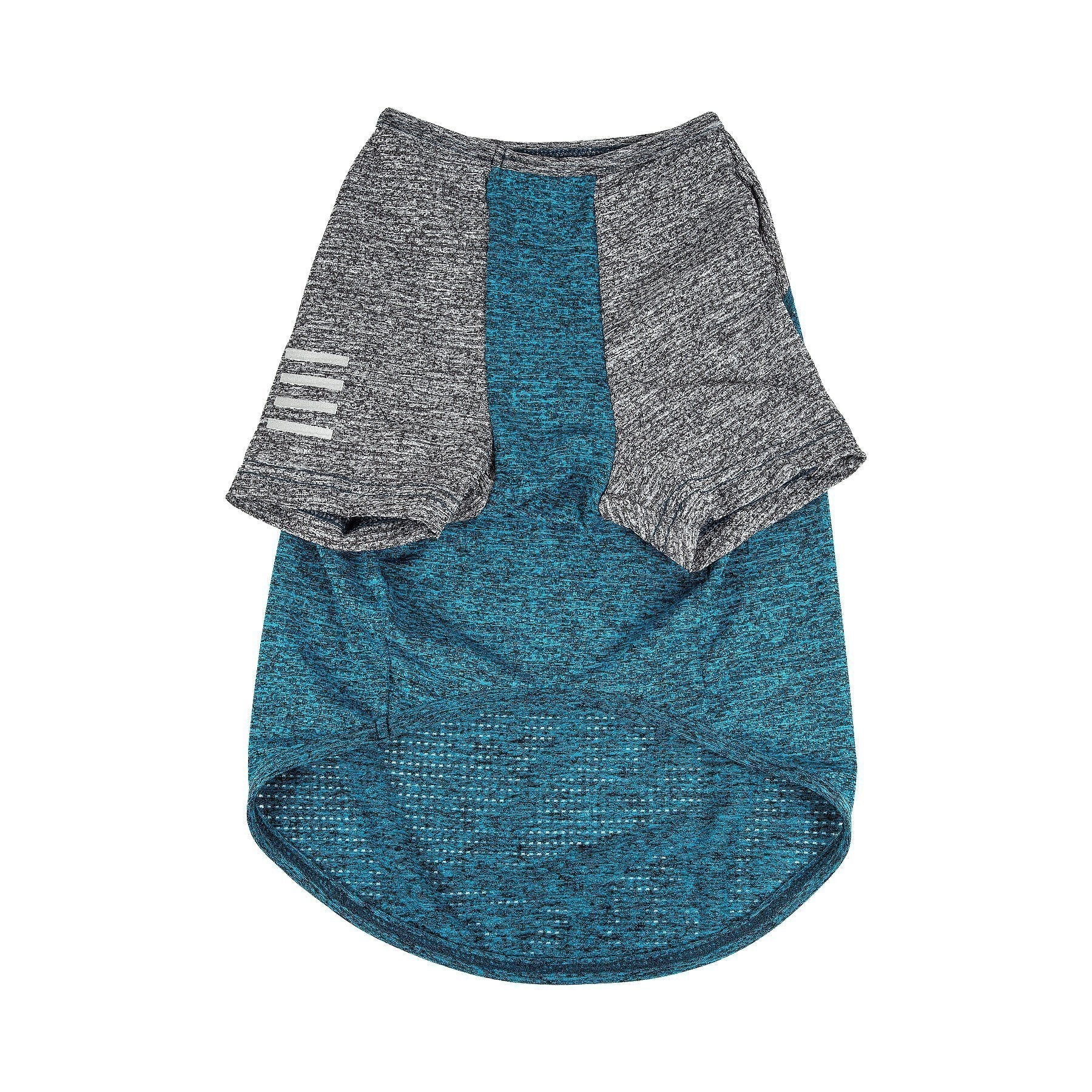 Teal center panel dog t-shirt with heather gray raglan sleeves