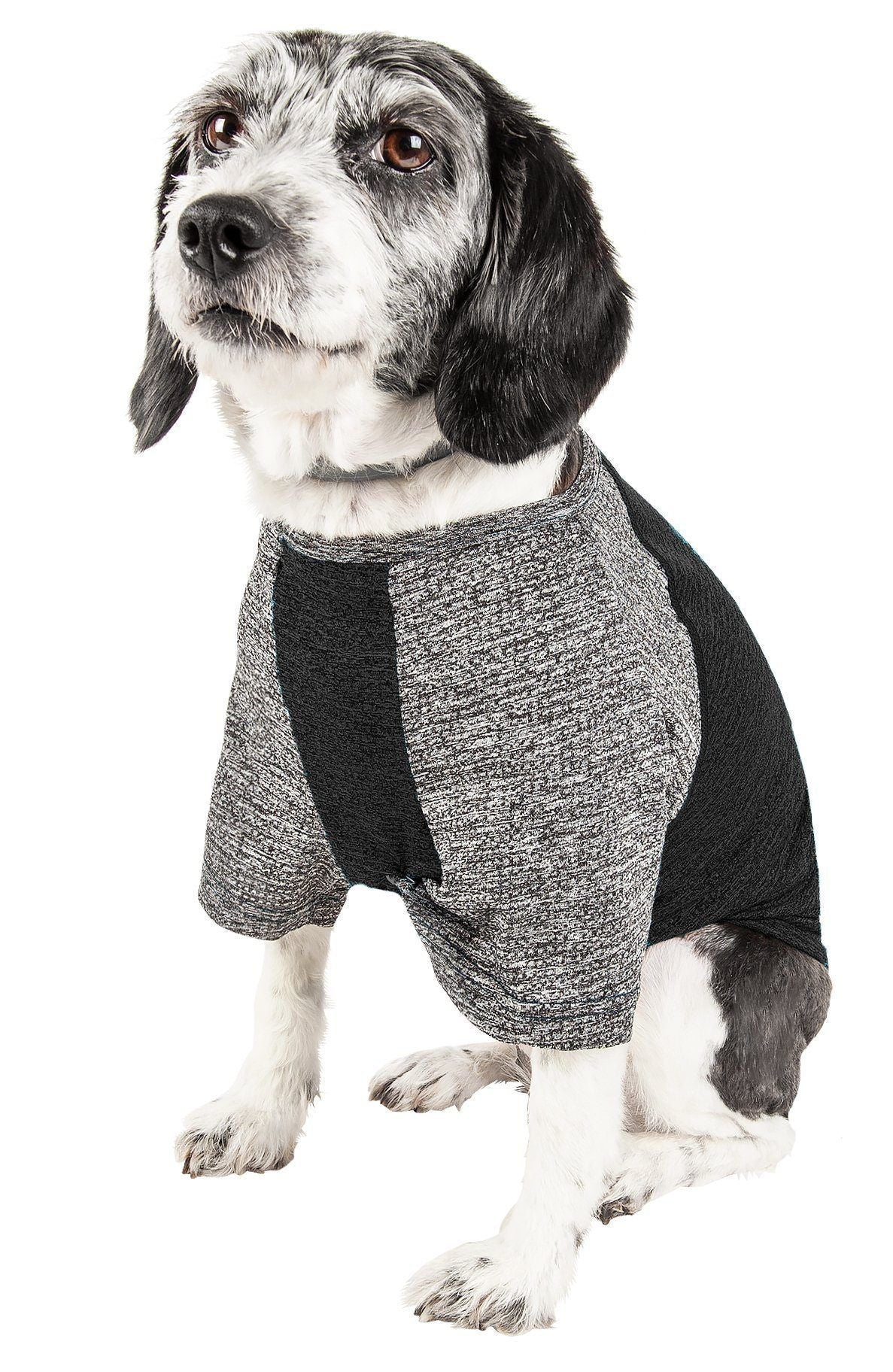 Dog wearing heather gray dog t-shirt with black sleeves and side panels