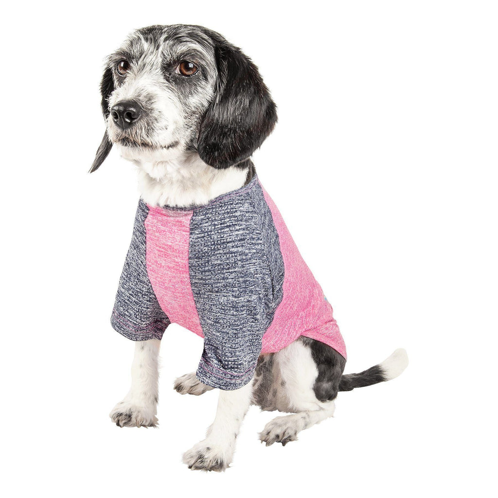Dog wearing heather gray dog t-shirt with pink side panels and sleeves