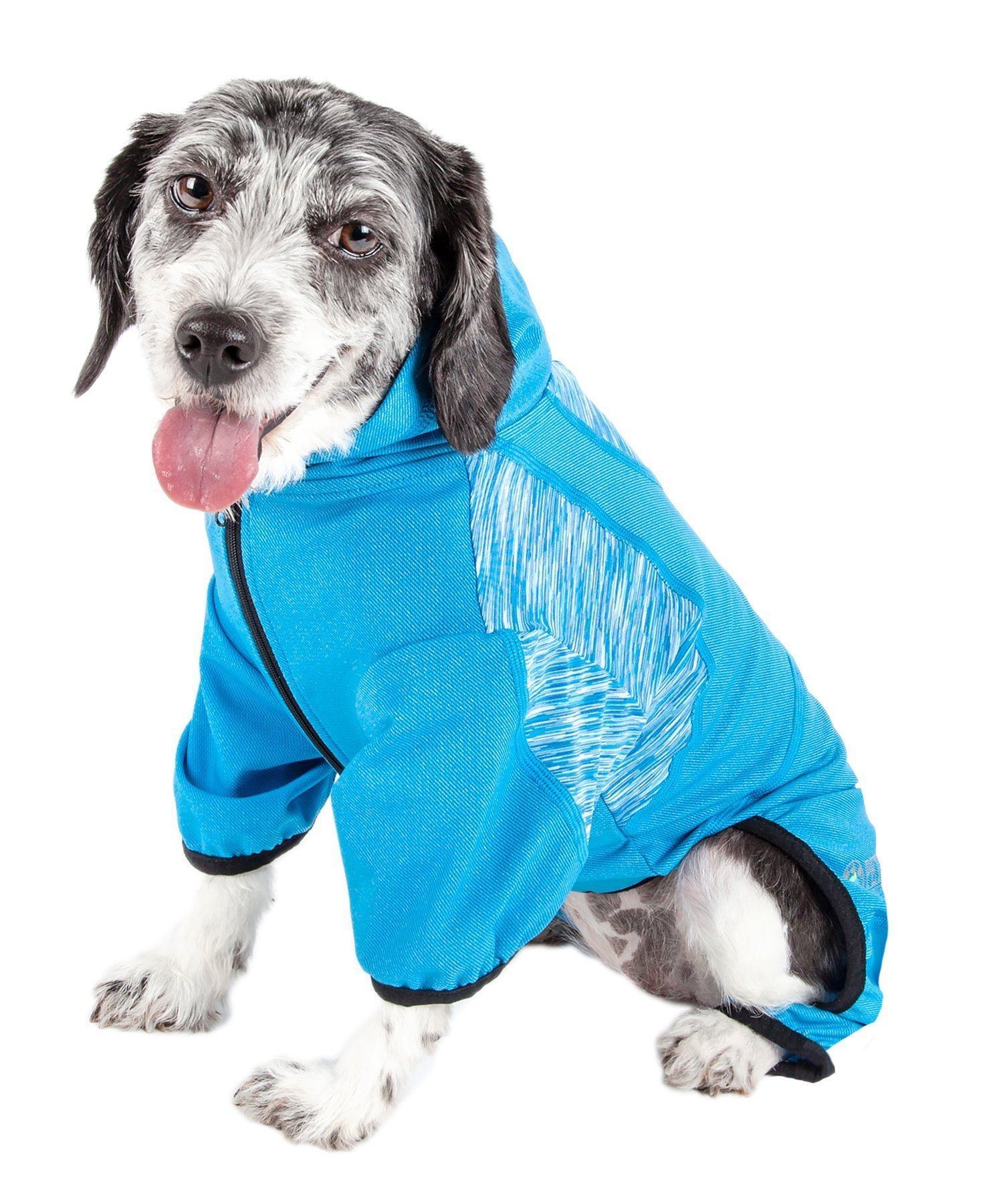 Blue dog yoga tracksuit hoodie with hood and black trim