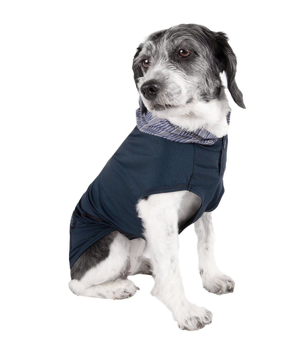 Teal sleeveless dog hoodie with striped hood lining and front snap closures