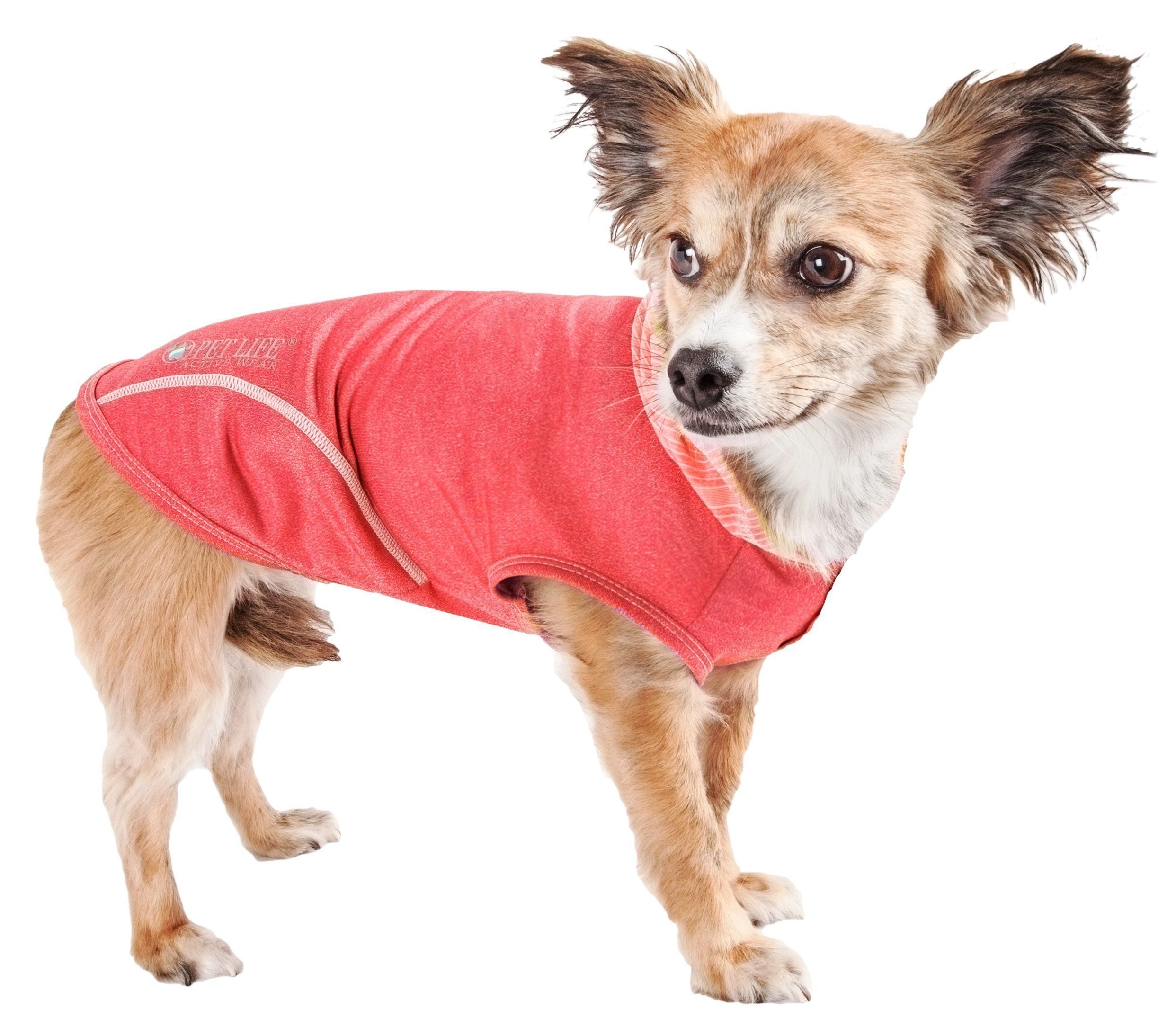 Hooded sleeveless dog pull-over fitness shirt, red with white trim and striped hood lining