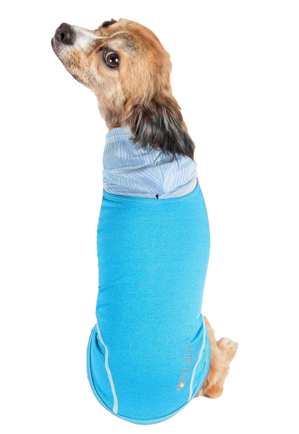 Dog sleeveless pull-over hoodie in teal/blue with hooded neckline and stretch fit