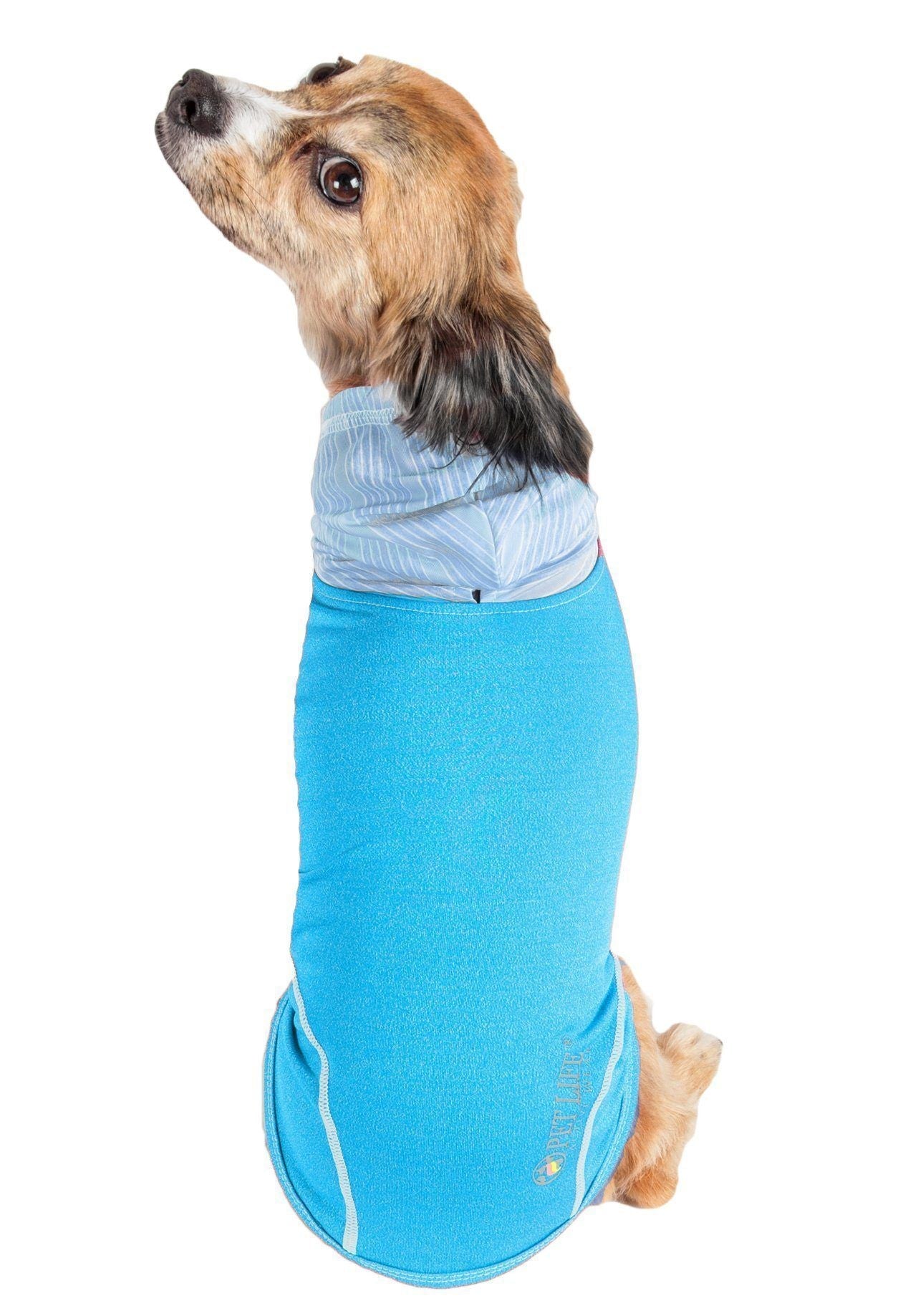 Dog sleeveless pull-over hoodie in teal/blue with hooded neckline and stretch fit