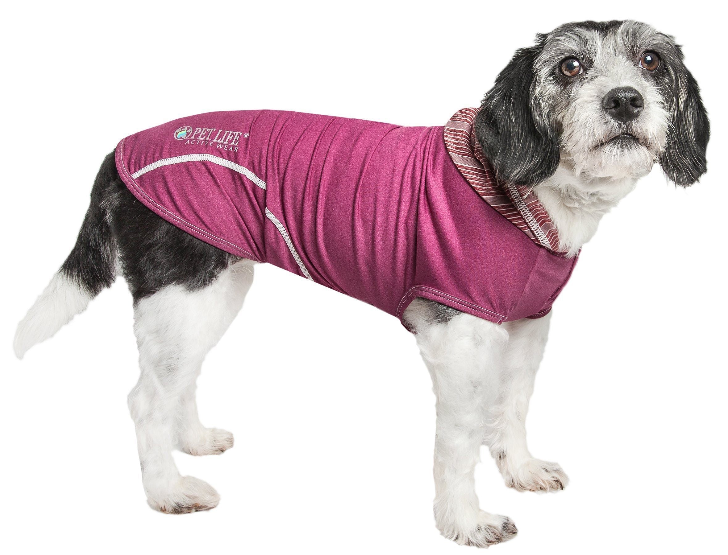 Hooded sleeveless dog pull-over fitness shirt, maroon with white trim and striped hood lining