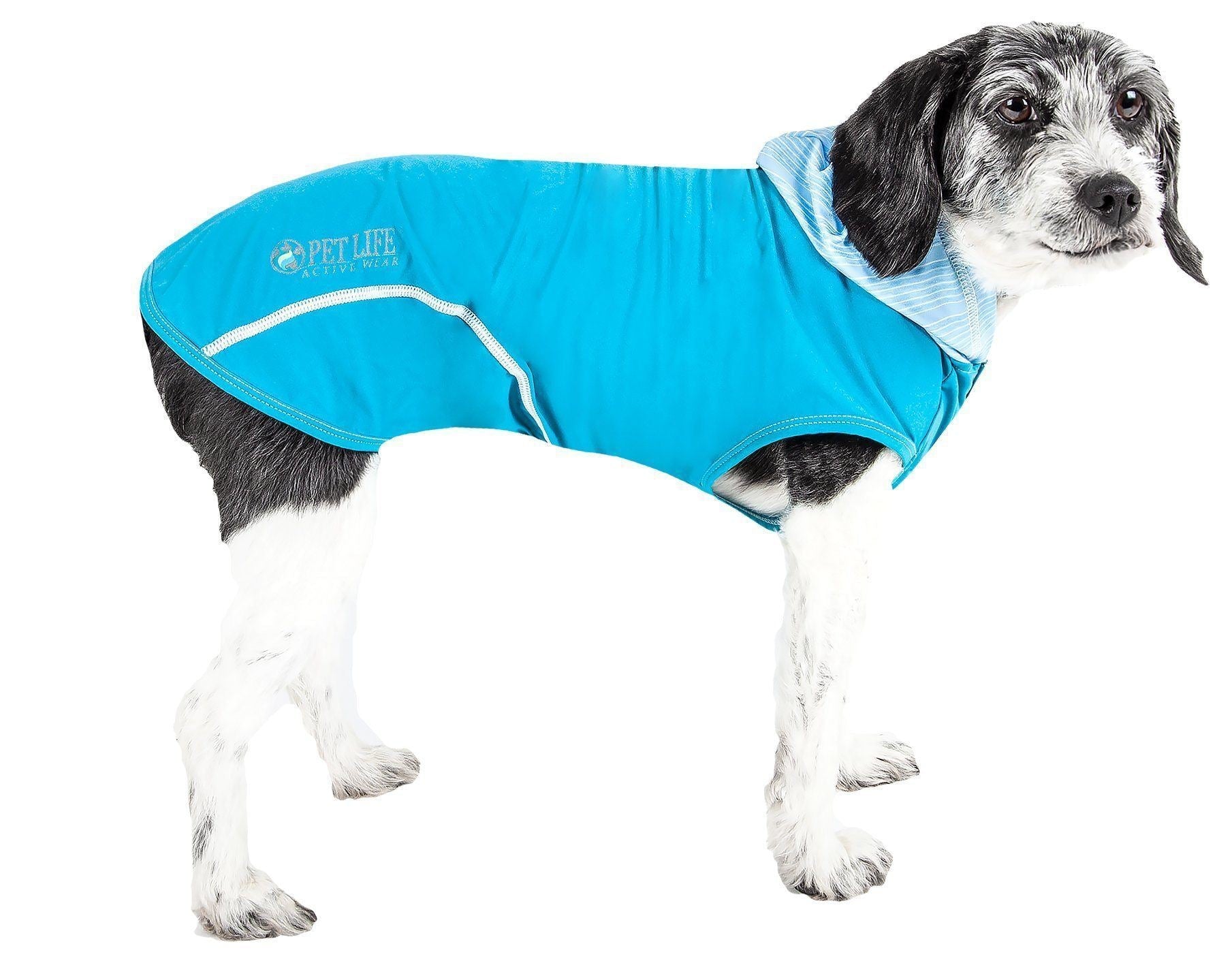 Hooded sleeveless dog pull-over fitness shirt, teal with white trim and logo at chest