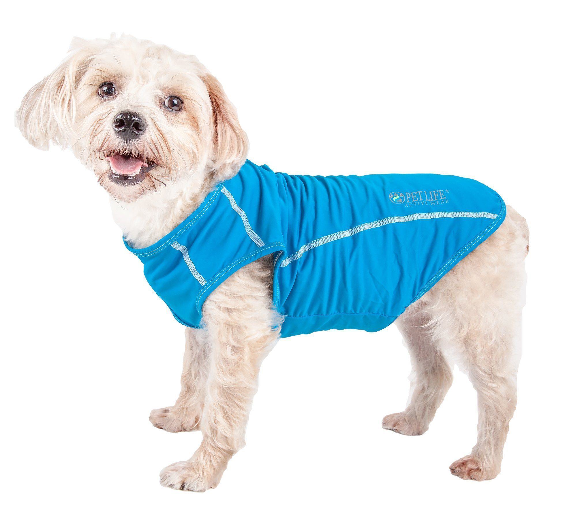 Sky blue dog yoga T-shirt with white piping and logo at chest