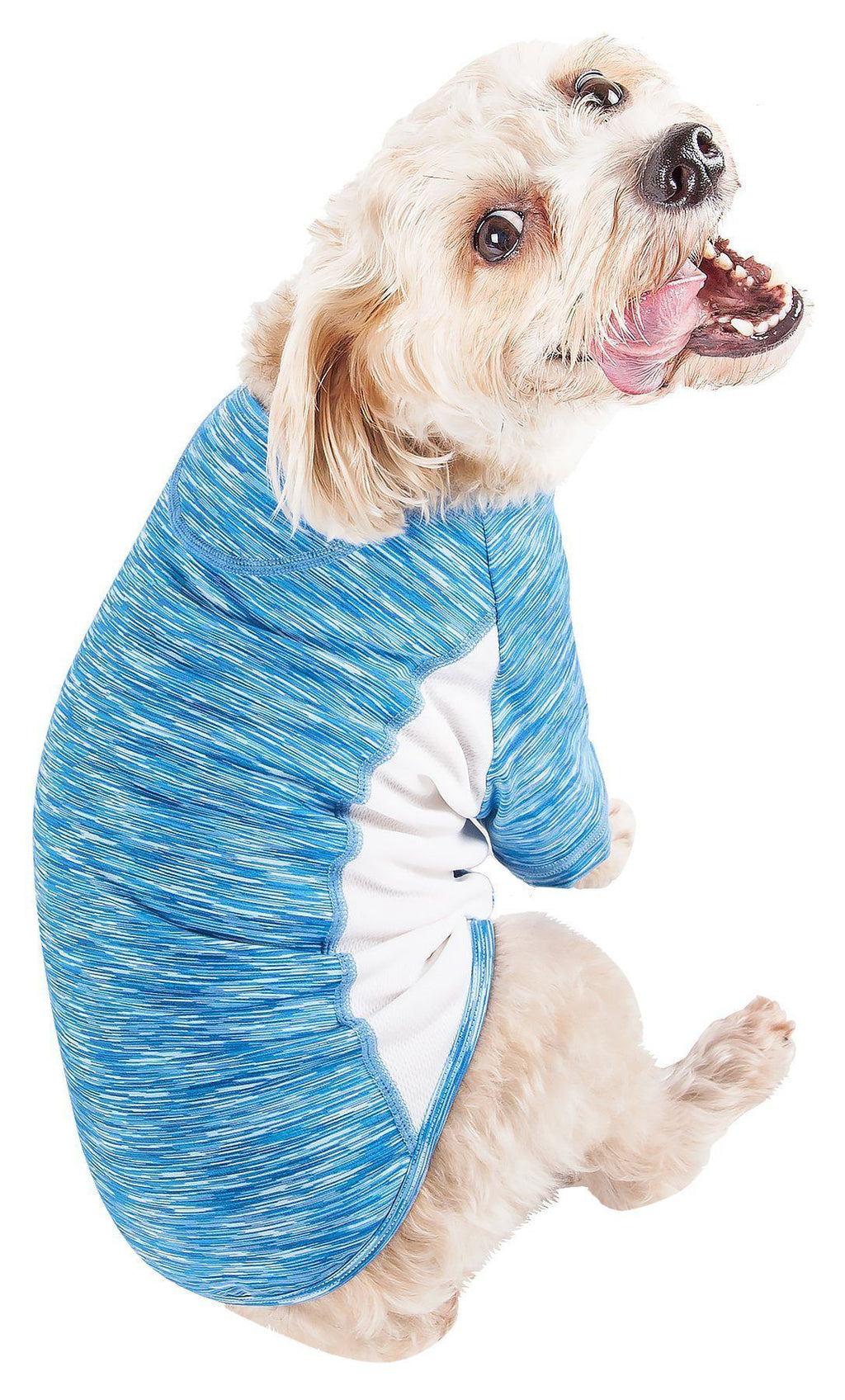 Blue heather dog yoga T-shirt, ultra-stretch long sleeves, crew neck
