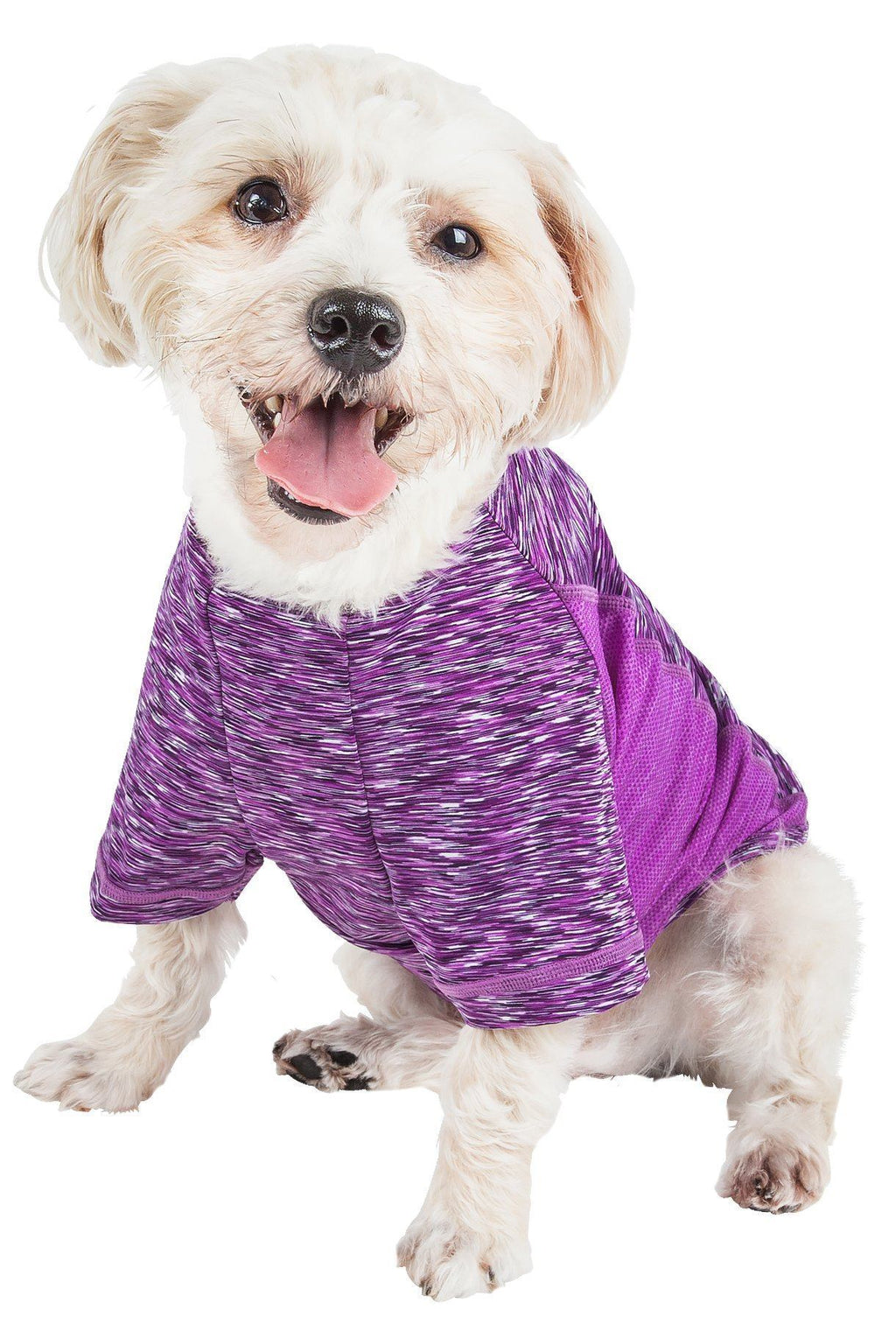 Purple heather dog yoga T-shirt, crew neck, short sleeves