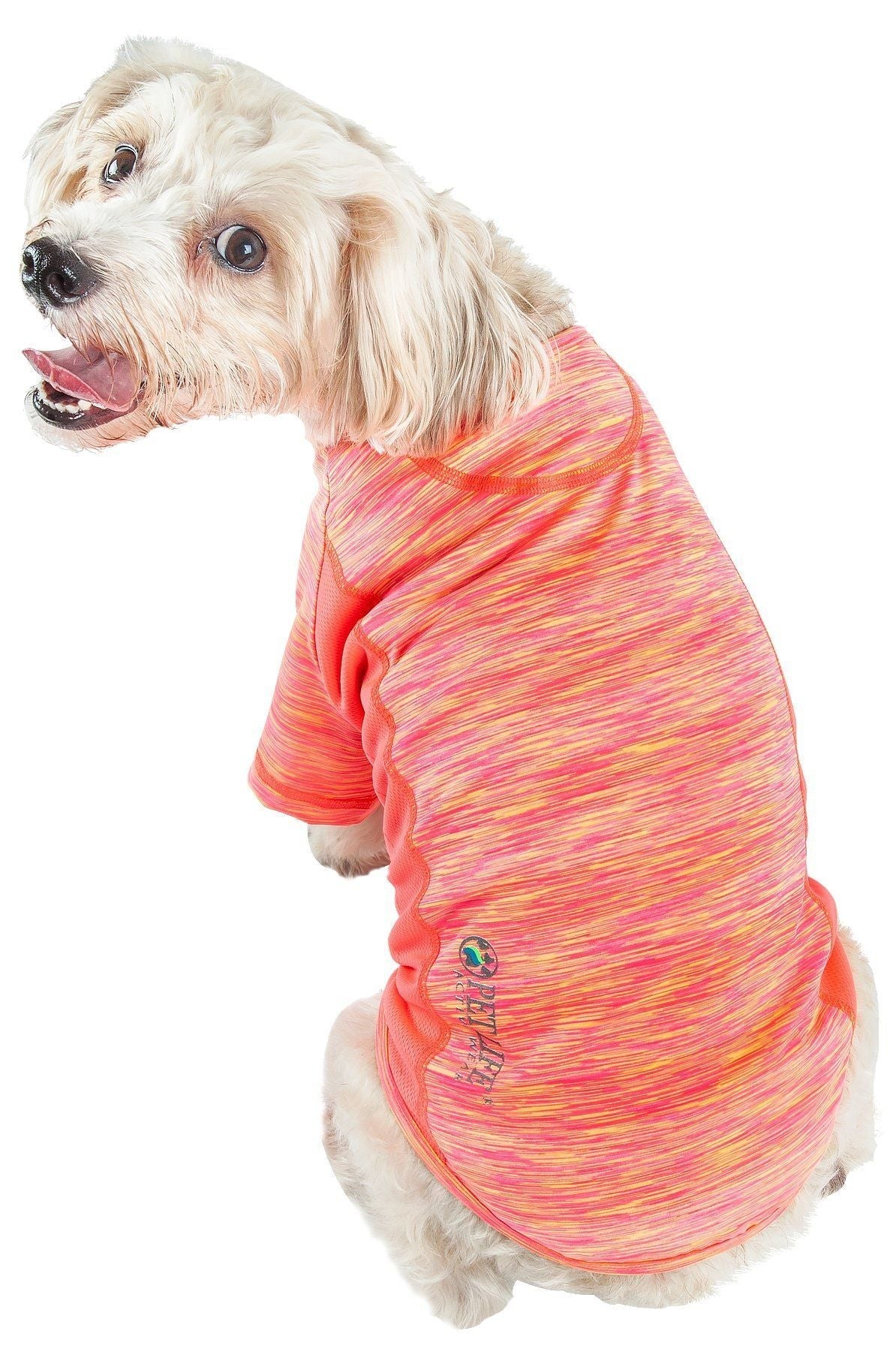 Neon orange heather dog t-shirt with bright orange trim, short sleeves, scoop neck