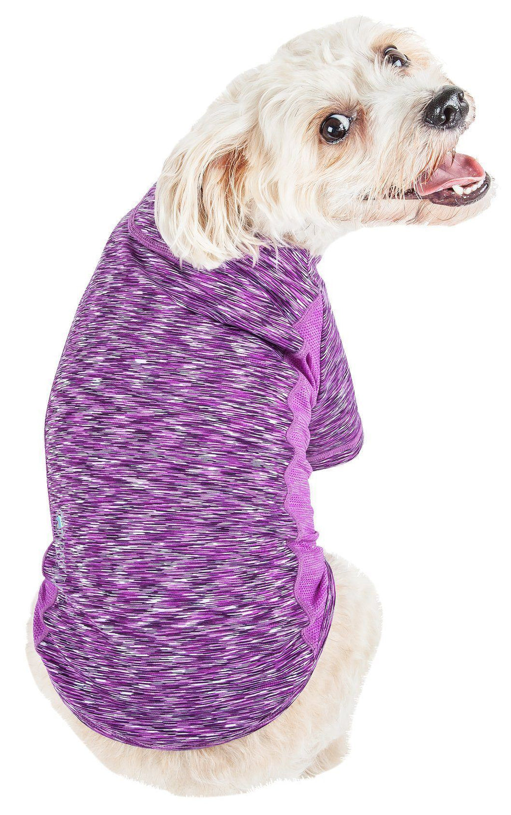 Purple heather dog t-shirt with purple trim, draped fit and side seam detail