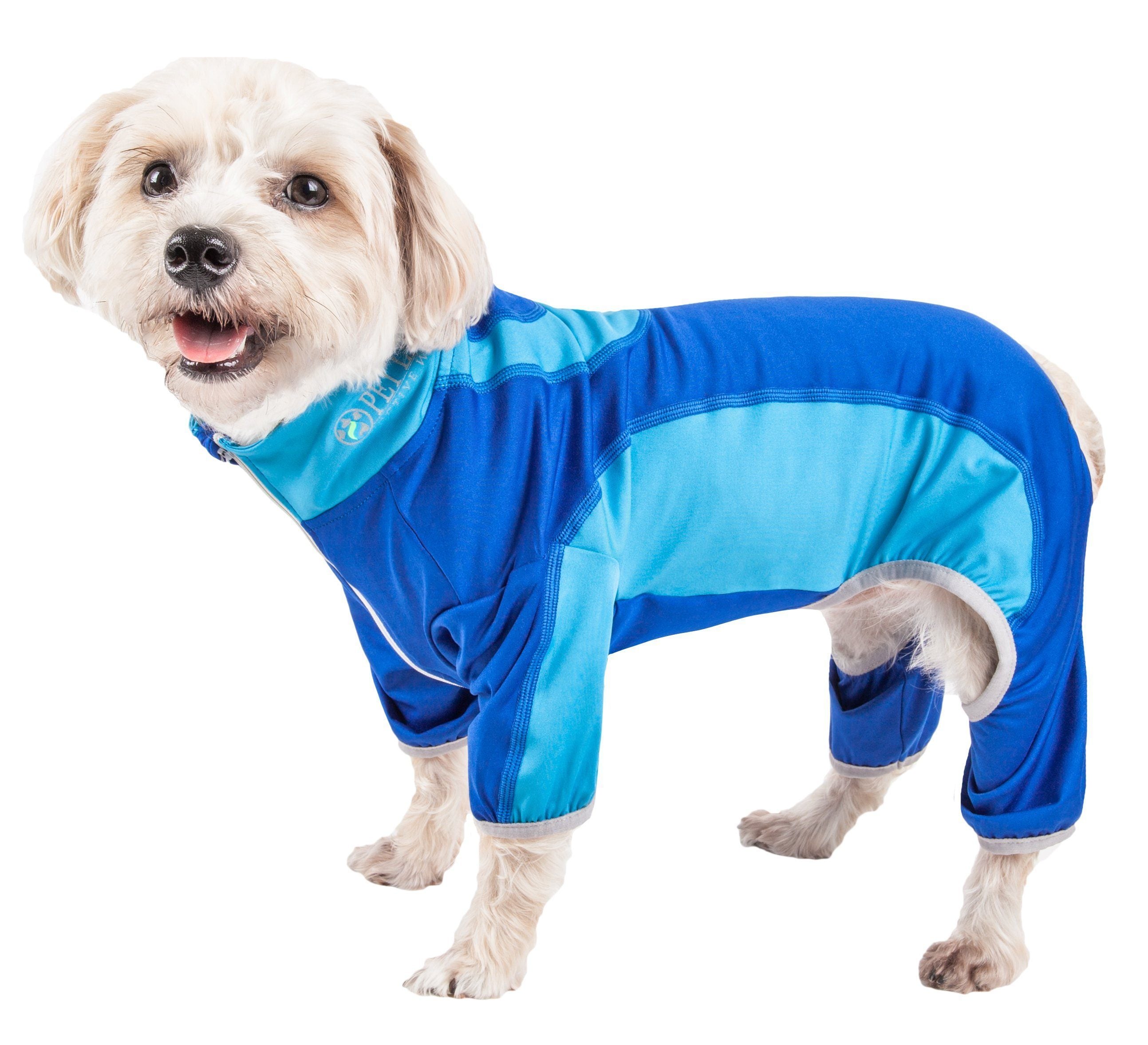 Dog yoga warm-up tracksuit in royal blue with lighter blue side panels and stretch fit
