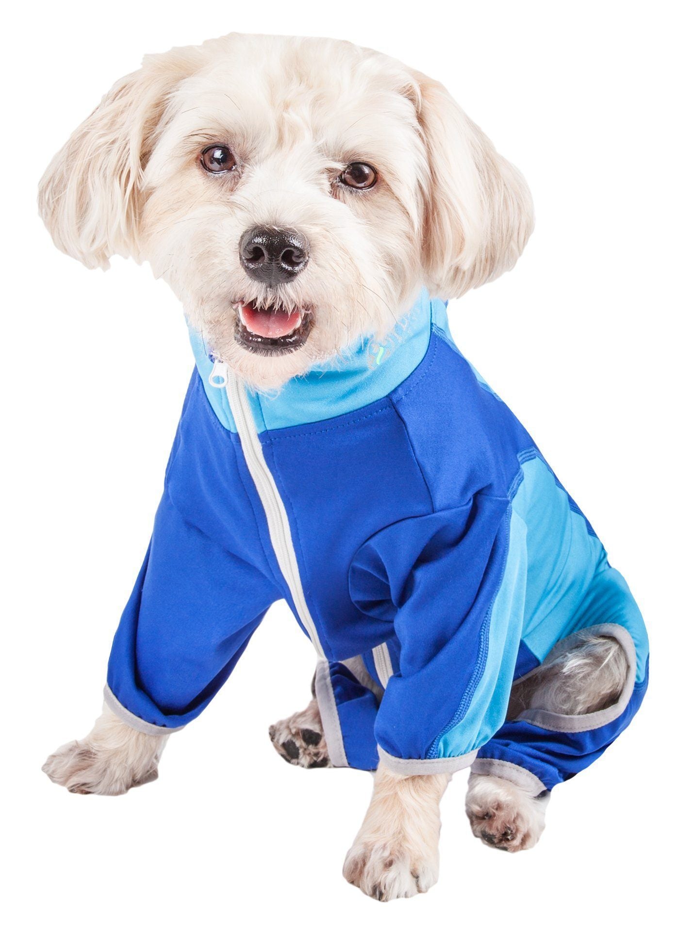 Blue dog stretch tracksuit with zipper and gray belly opening, contrast light blue panels