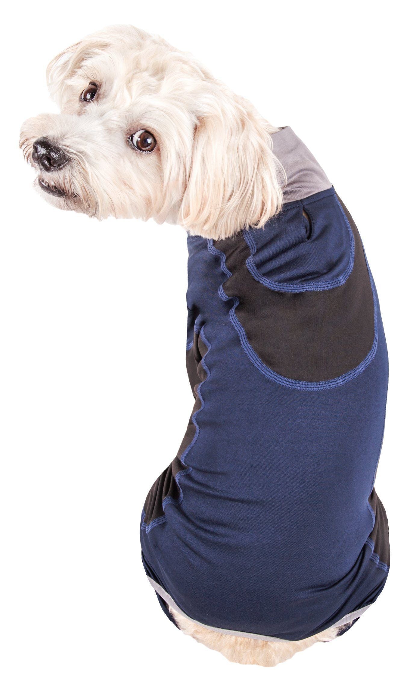 Navy dog stretchy warm-up tracksuit with blue-trim hood pocket